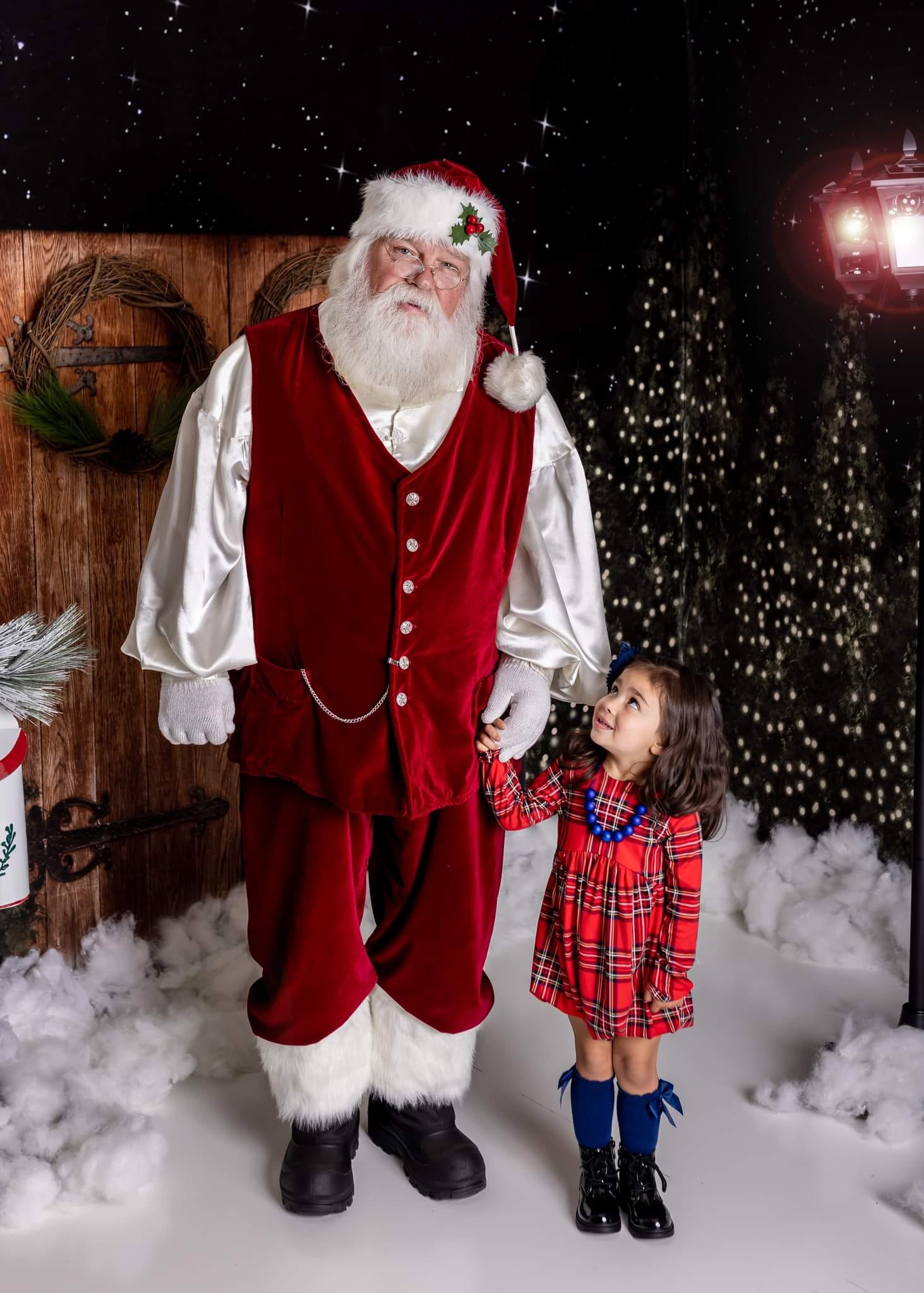 Kate Christmas Trees Snow Winter Room Set - Kate Backdrop AU