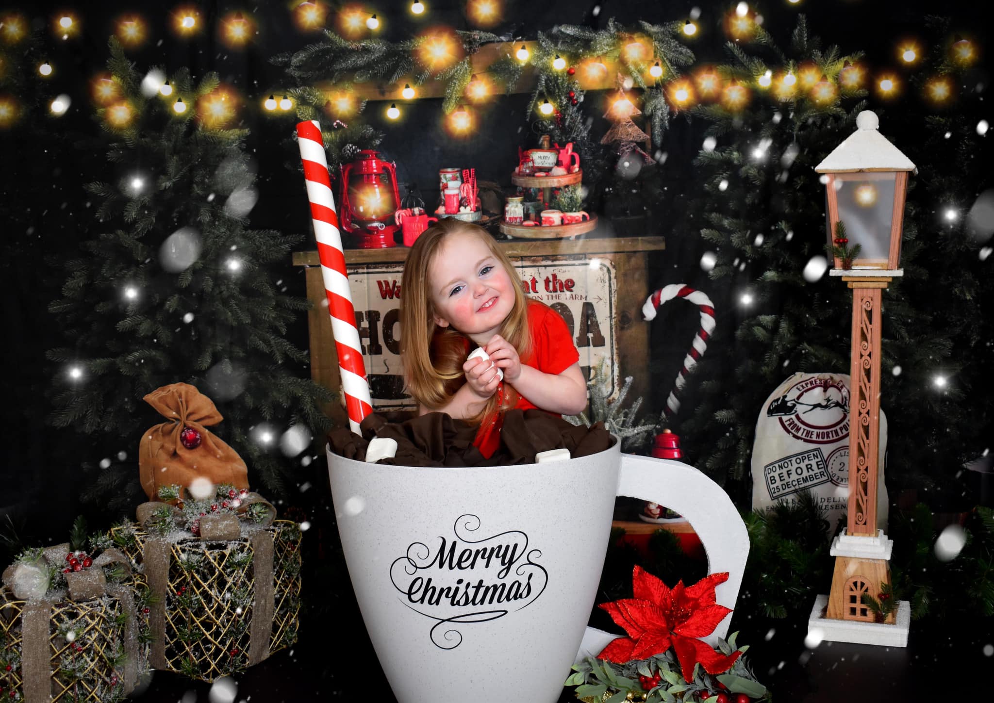 Kate Christmas Backdrop Hot Cocoa for Photography - Kate Backdrop AU