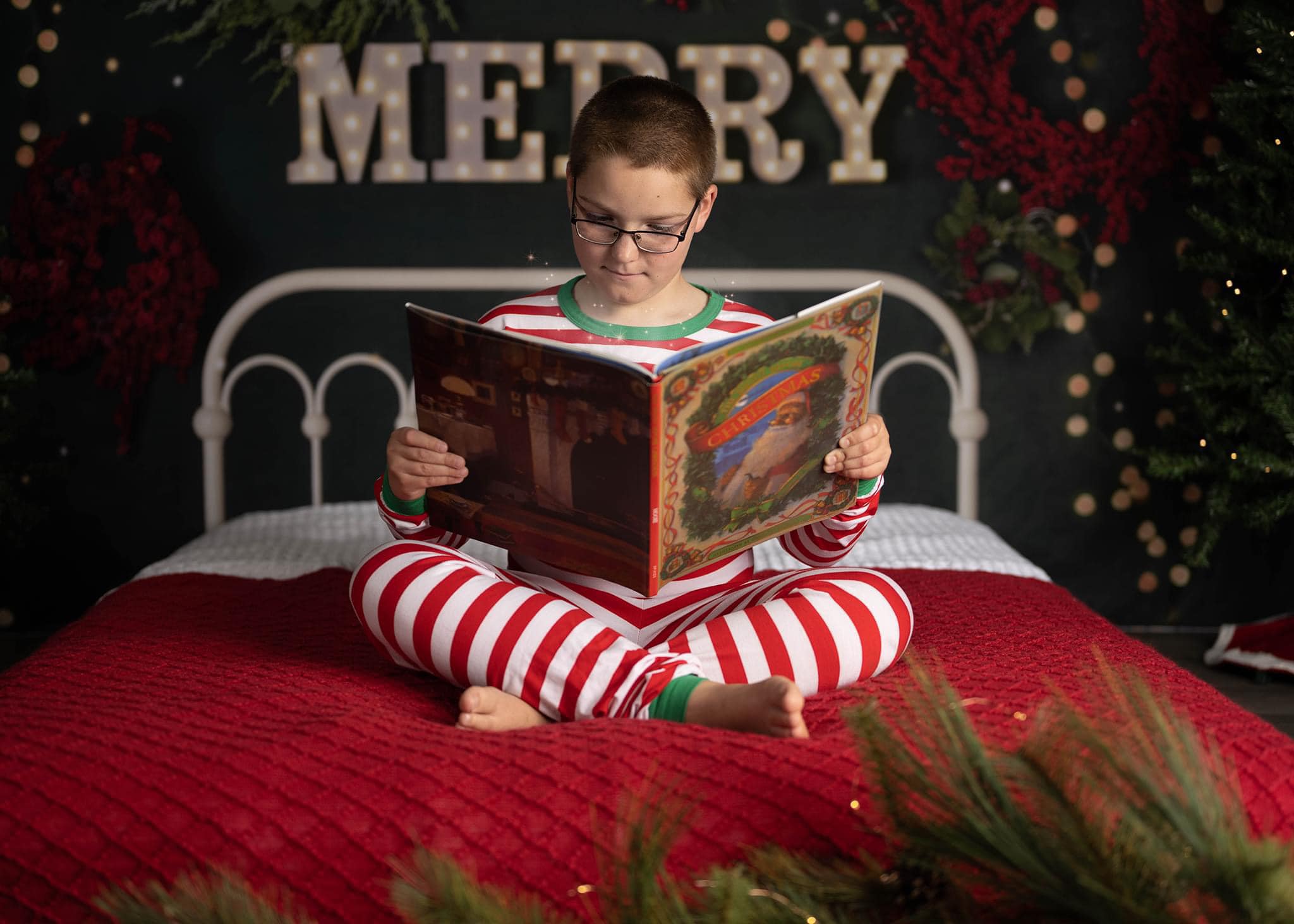 Kate Merry Christmas Backdrop Sparkle Headboard Designed By Mandy Ringe Photography - Kate Backdrop AU
