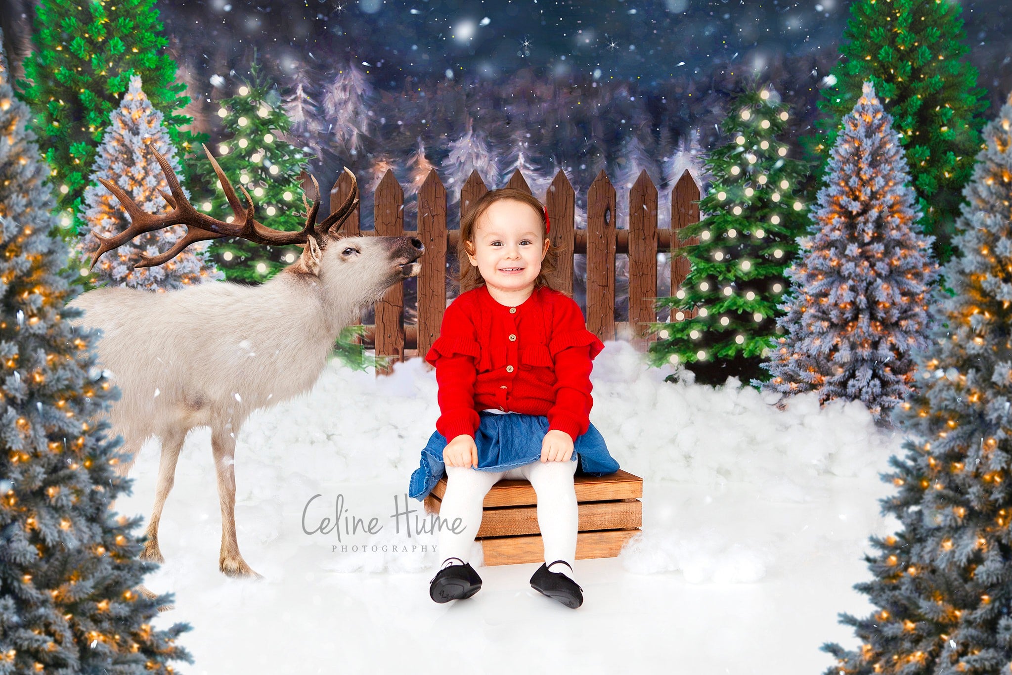 Kate Christmas Night Pine Trees Farm Backdrop Designed By Jerry_Sina - Kate Backdrop AU