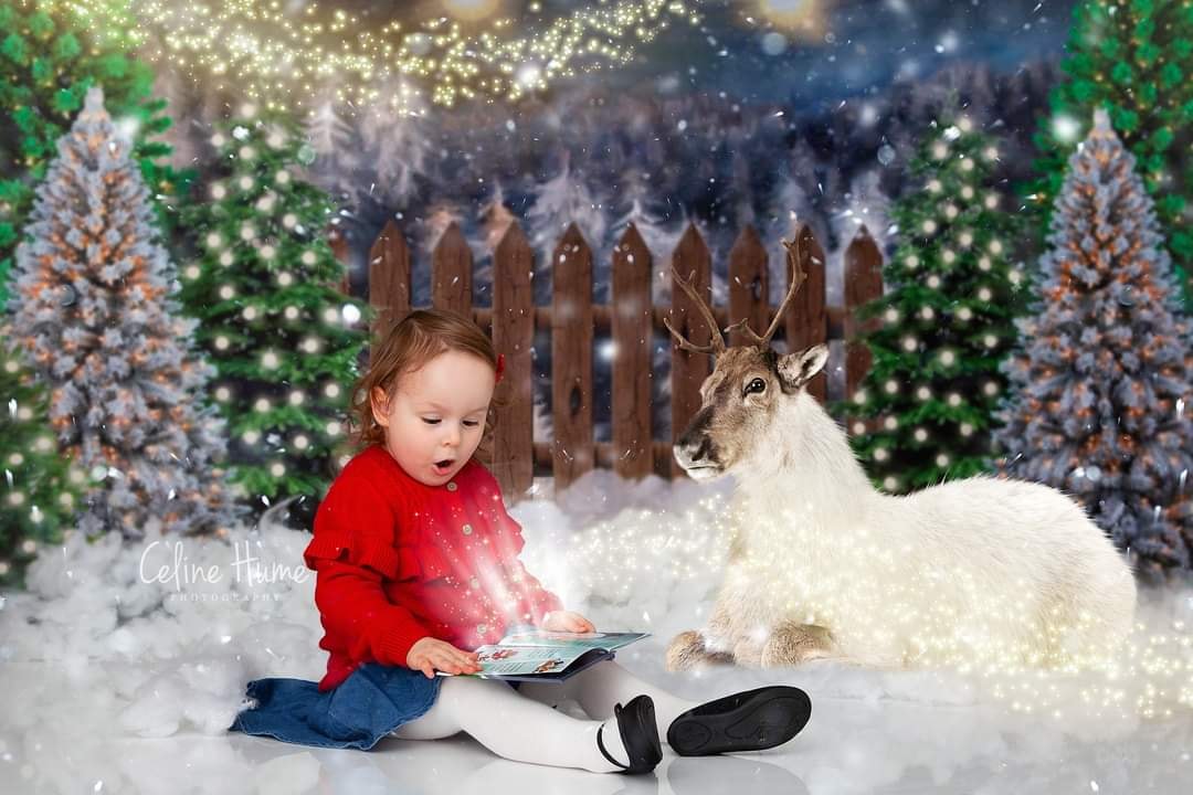 Kate Christmas Night Pine Trees Farm Backdrop Designed By Jerry_Sina - Kate Backdrop AU