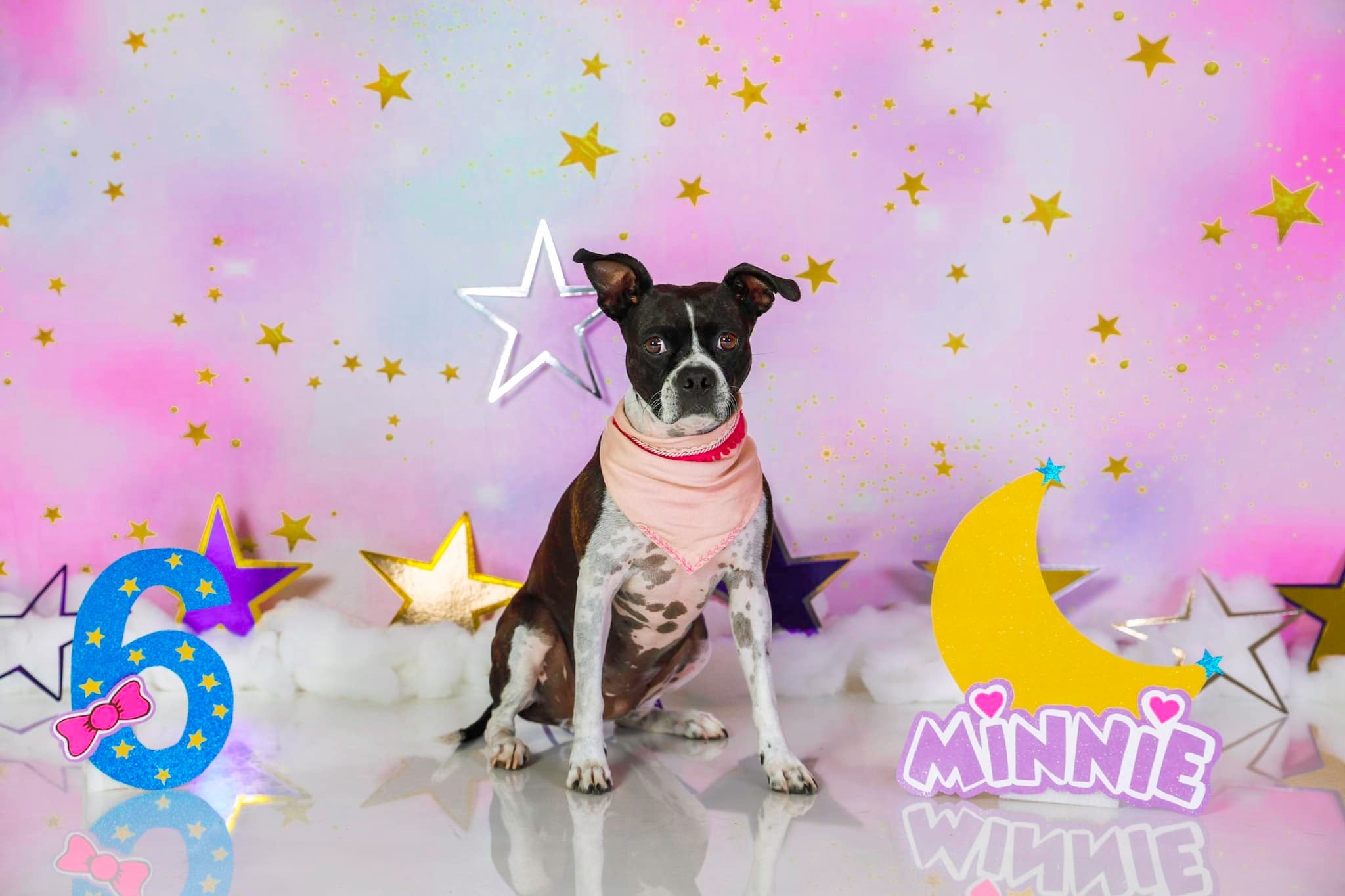 Kate Cake Smash Backdrop Pink Clouds Stars Backdrop Designed By JFCC - Kate Backdrop AU
