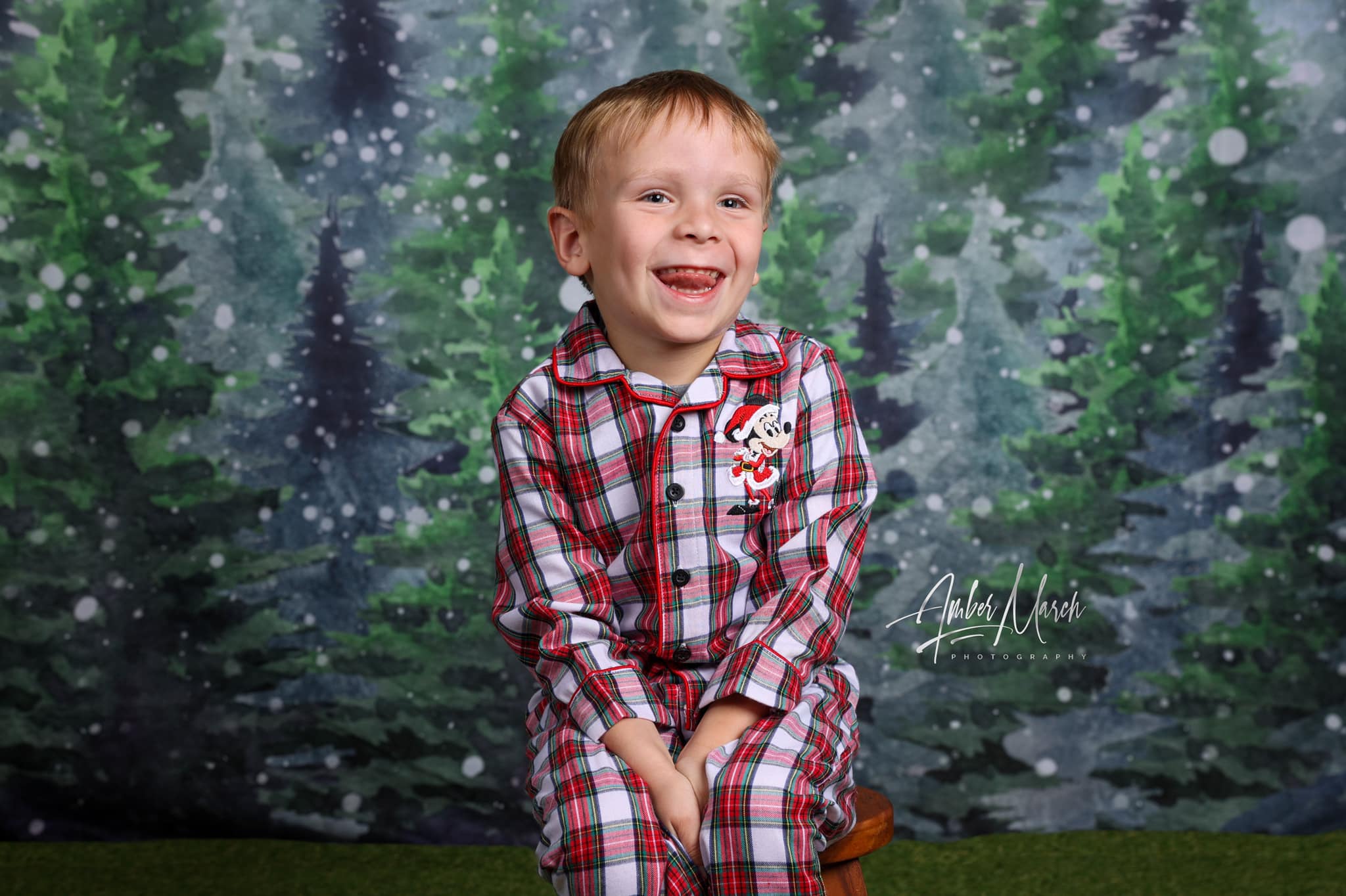 Kate Snow Christmas Forest Hot-cocoa Bokeh Candy Room Set(8ftx8ft&10ftx8ft&8ftx10ft) - Kate Backdrop AU