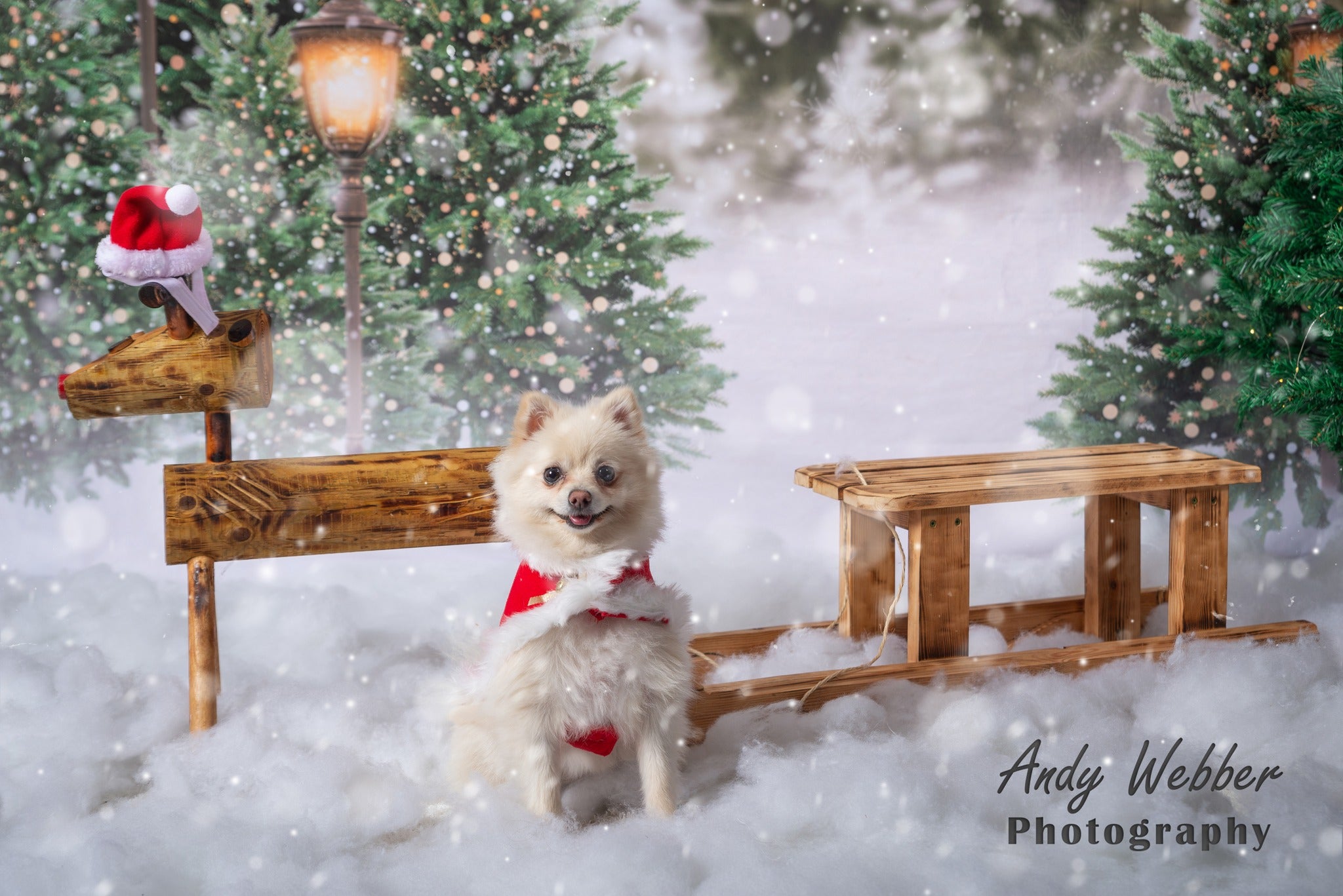Kate Christmas Tree Backdrop for Photography - Kate Backdrop AU