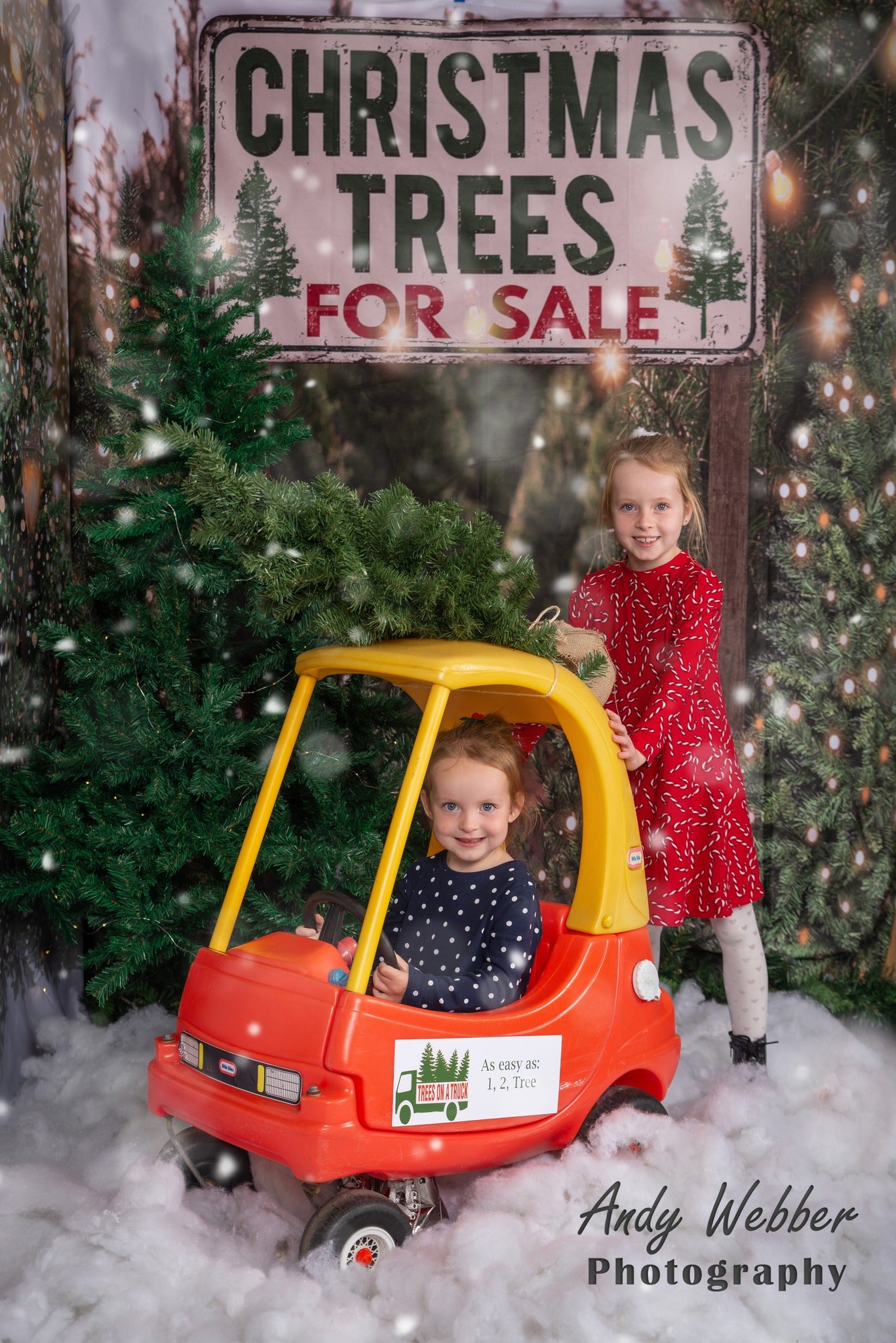 Kate Christmas Tree Backdrop for Photography - Kate Backdrop AU