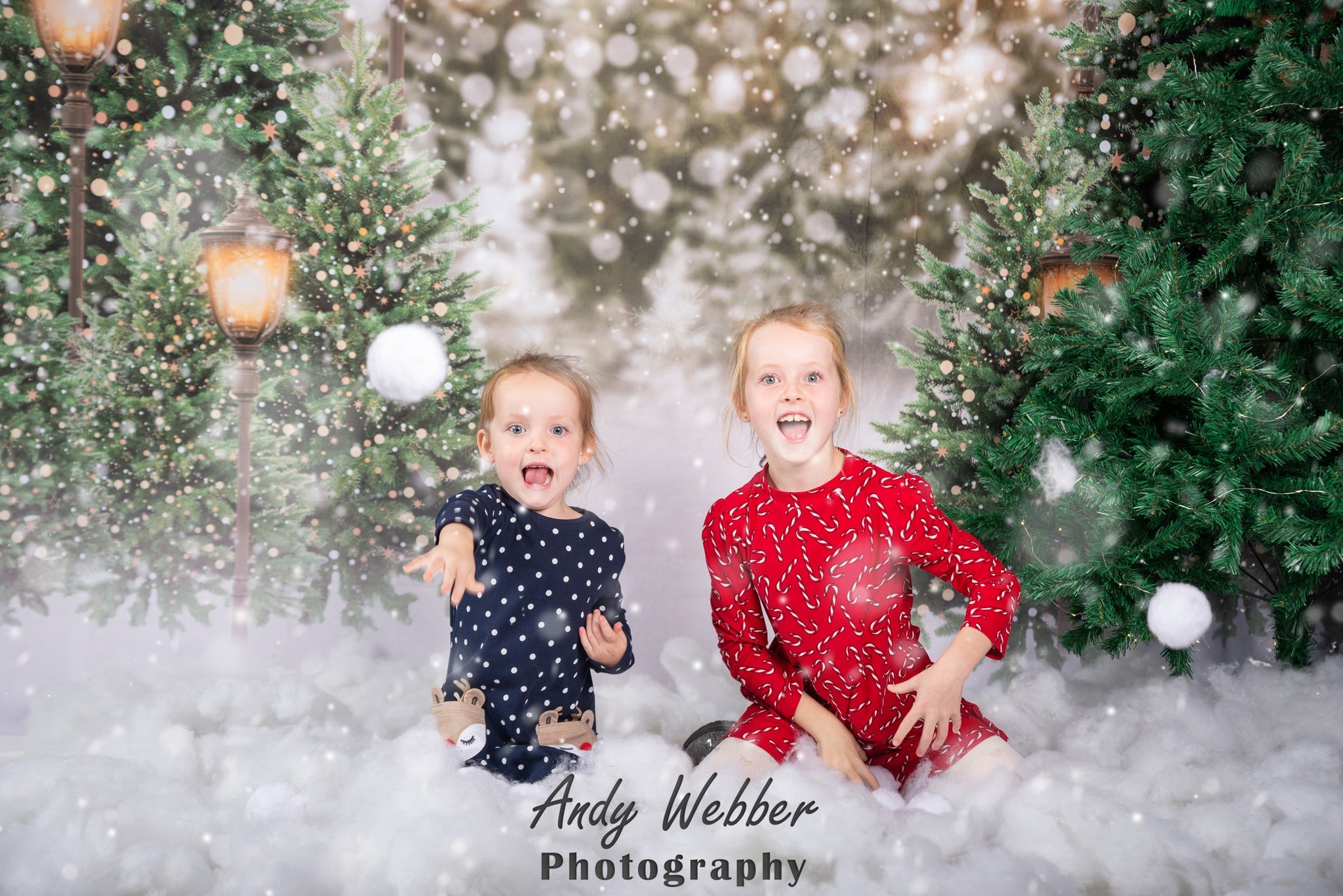Kate Christmas Tree Backdrop for Photography - Kate Backdrop AU