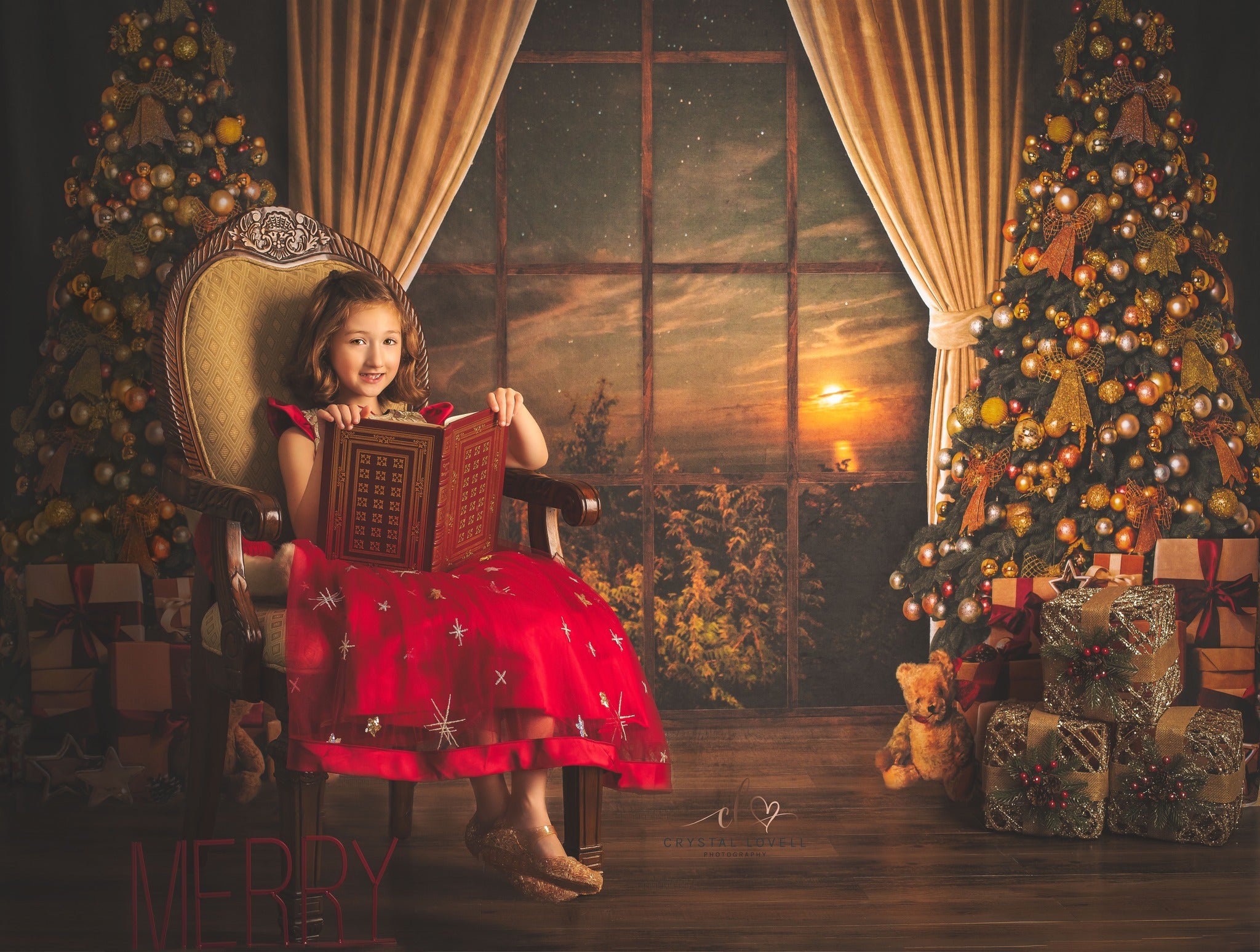 Kate Christmas Tree Backdrop Moon Starry Sky for Photography - Kate Backdrop AU