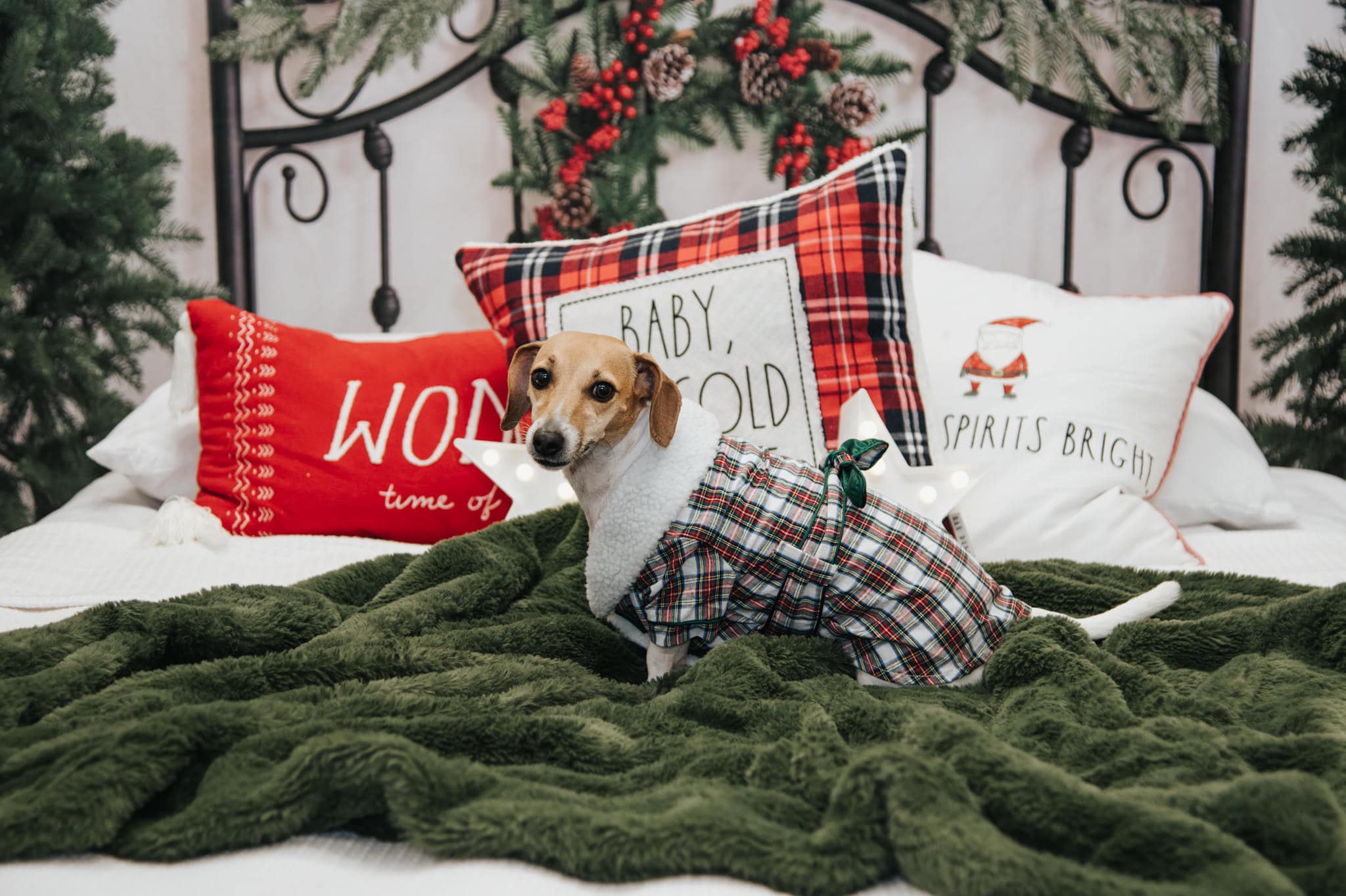 Kate Christmas Bed Backdrop Headboard Designed by Emetselch - Kate Backdrop AU
