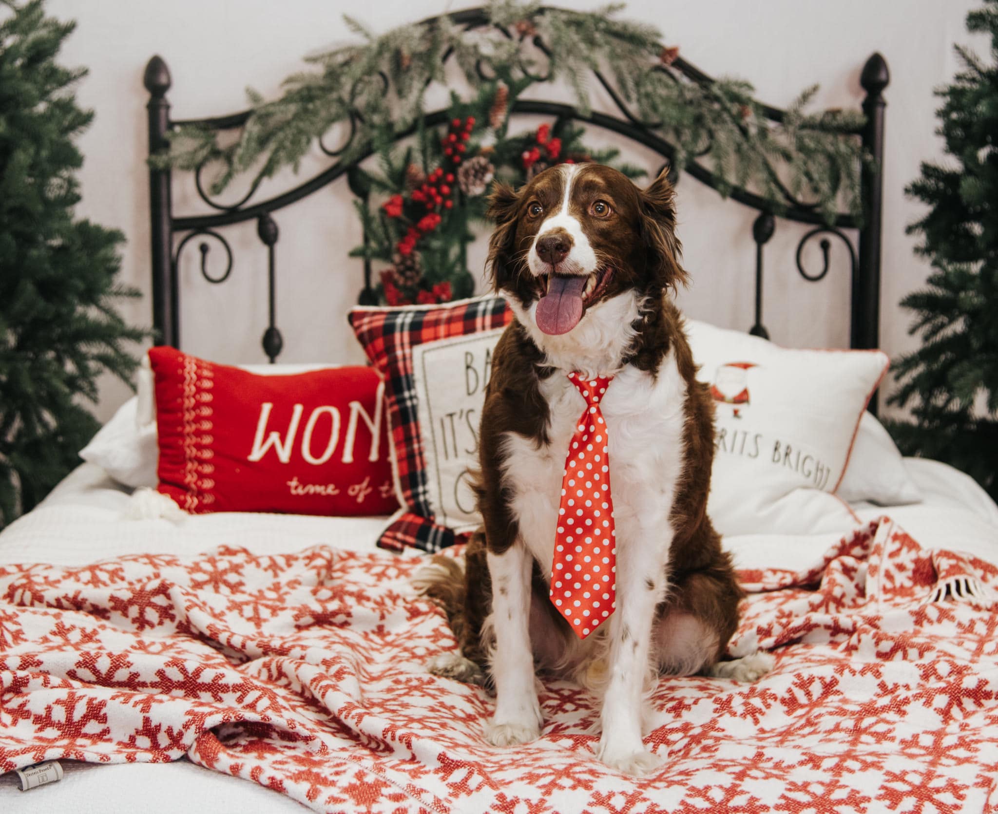 Kate Christmas Bed Backdrop Headboard Designed by Emetselch - Kate Backdrop AU
