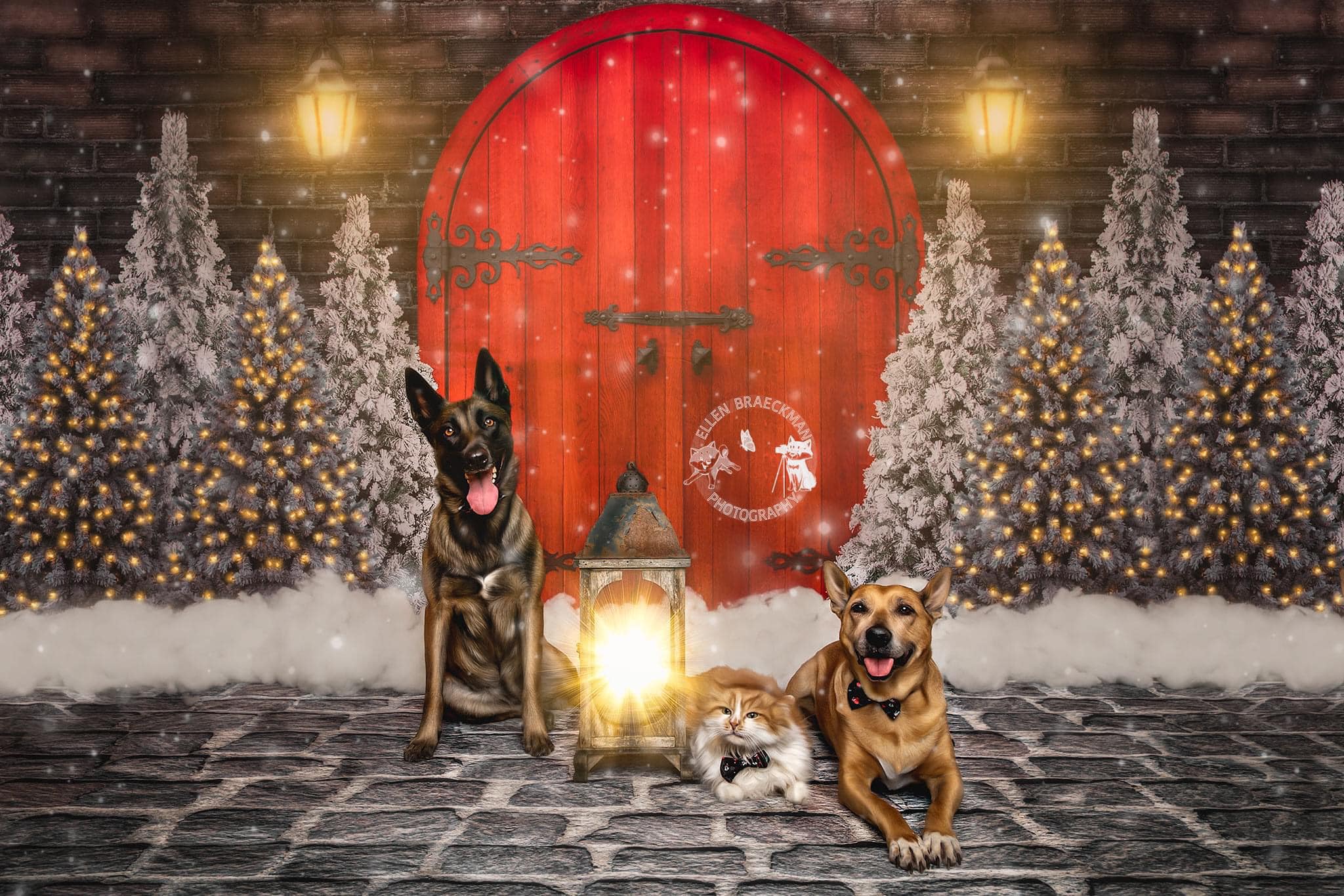 Kate Christmas Red Door Backdrop Designed By JS Photography - Kate Backdrop AU