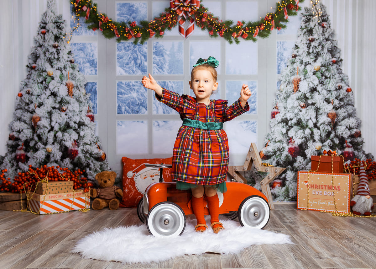 Kate Christmas Tree Winter White Window Backdrop Designed by Chain Photography - Kate Backdrop AU