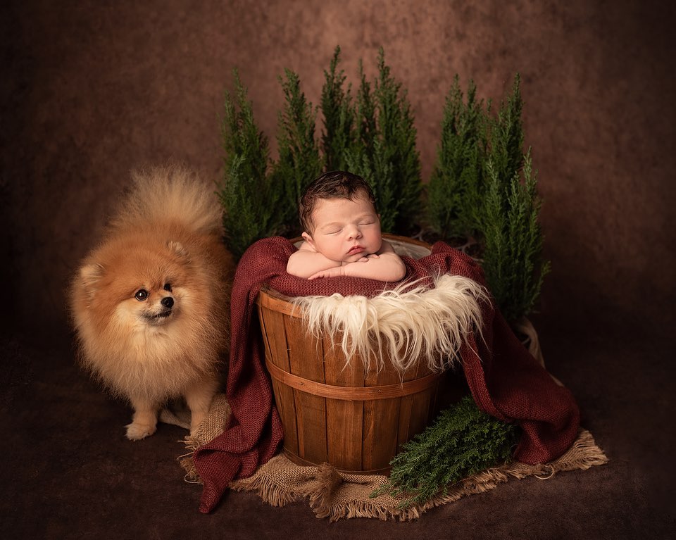 Kate Like Oil Painting Background Abstract Texture Backdrops For Photography - Kate Backdrop AU