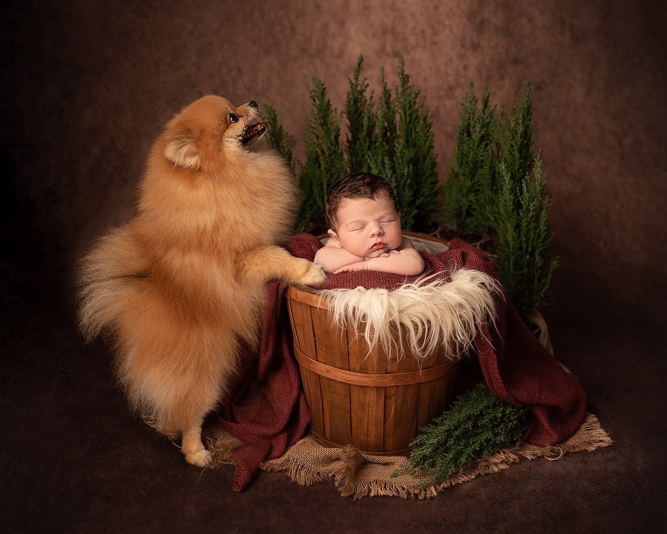 Kate Like Oil Painting Background Abstract Texture Backdrops For Photography - Kate Backdrop AU