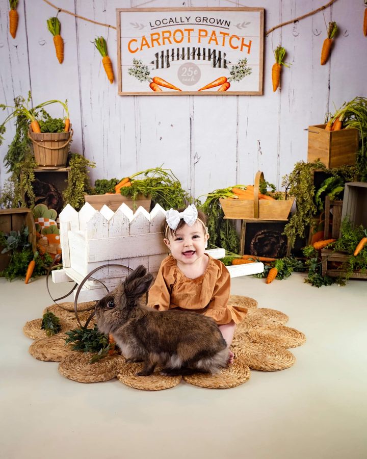 Kate Carrot Patch Easter Backdrop Designed by Megan Leigh Photography - Kate Backdrop AU