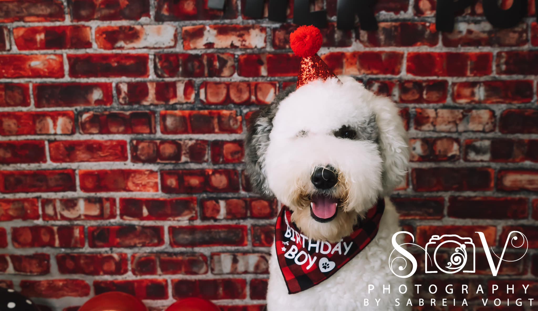 Kate Red Valentine's Day Brick Backdrop Designed By Mandy Ringe Photography - Kate Backdrop AU