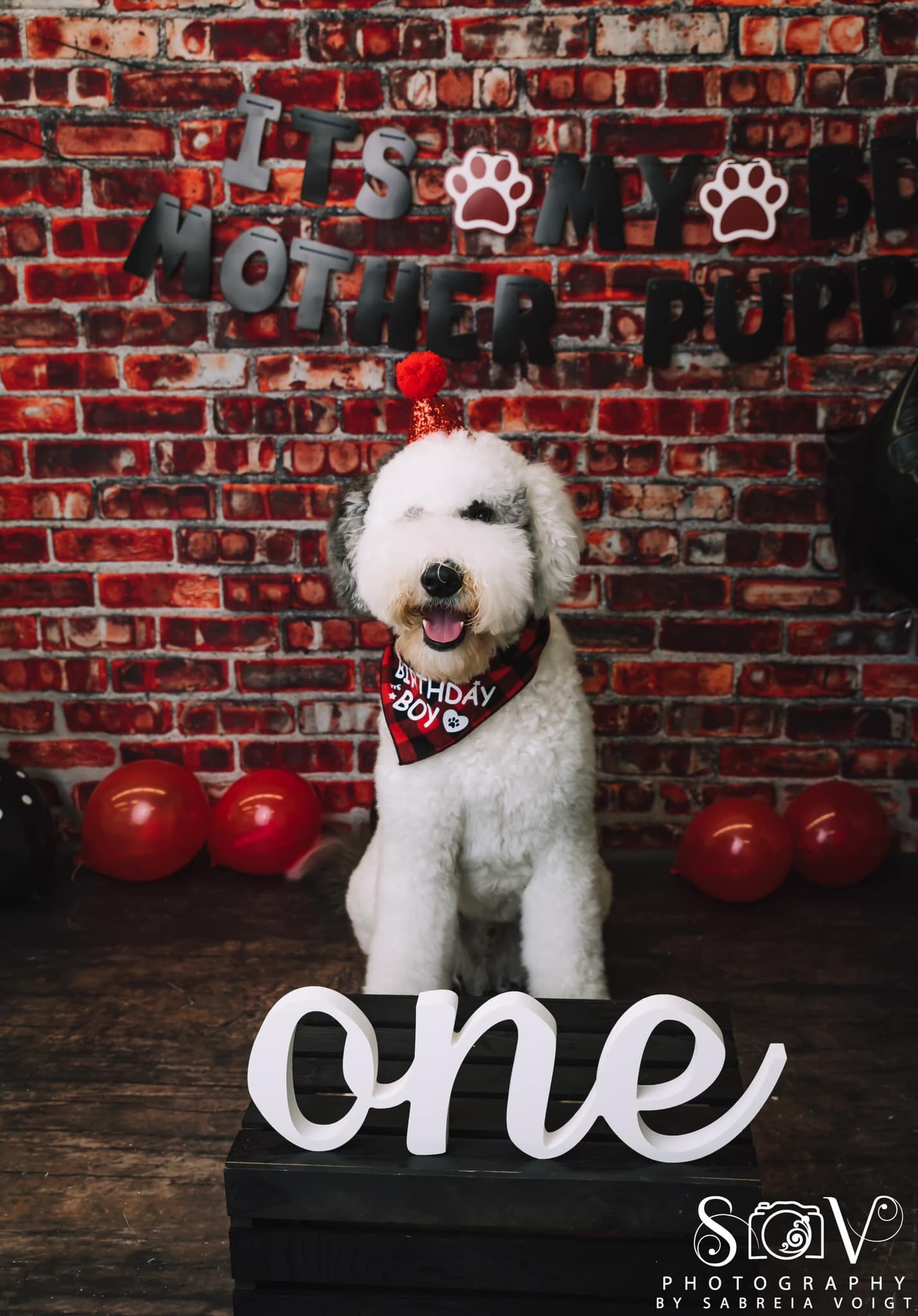 Kate Red Valentine's Day Brick Backdrop Designed By Mandy Ringe Photography - Kate Backdrop AU