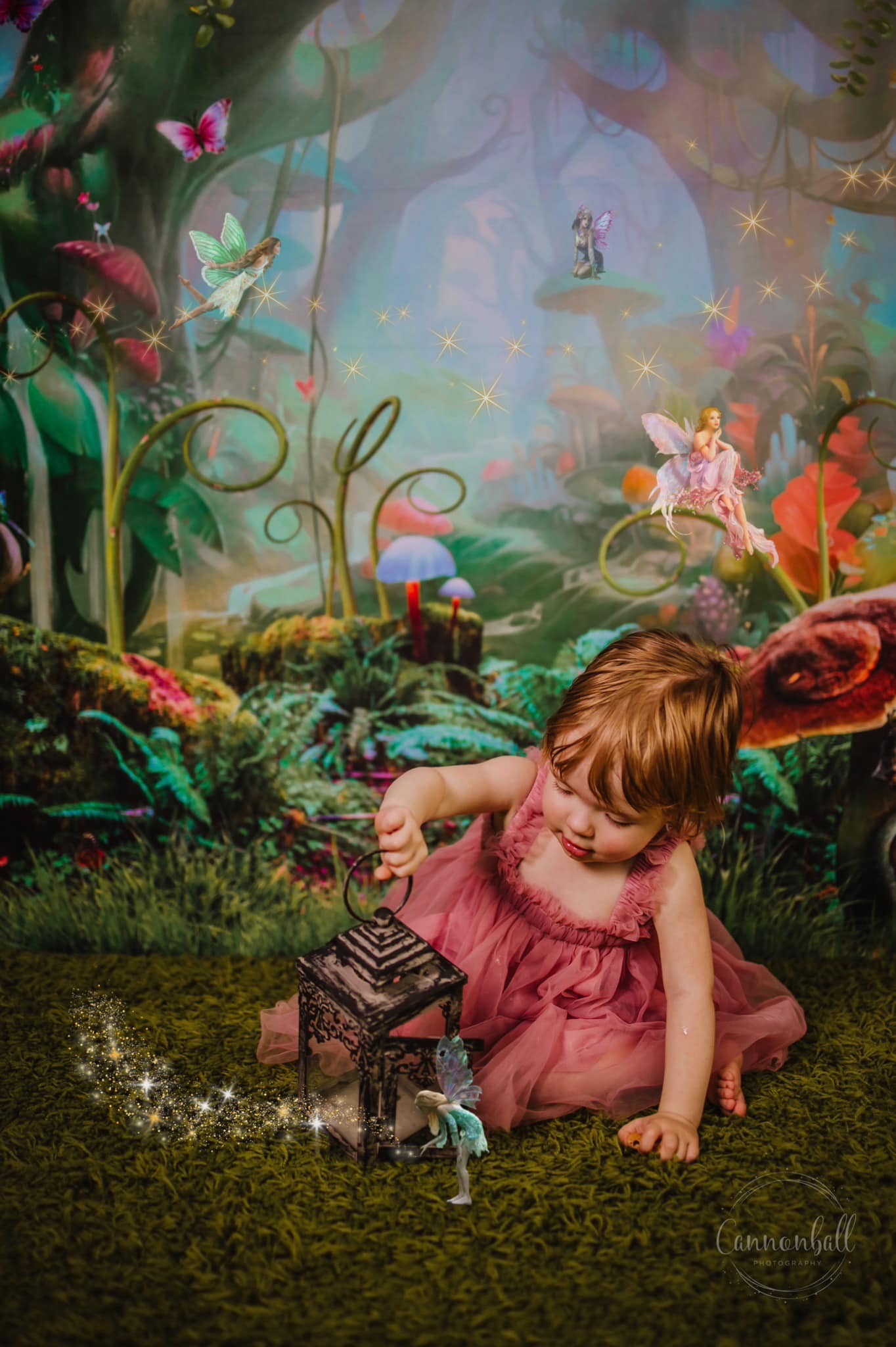 Kate Children Fairy Tale Wonderland Forest Mushrooms Backdrops - Kate Backdrop AU