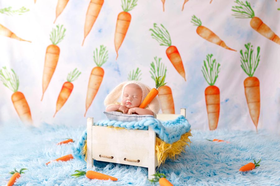 Kate Rain of Carrots Backdrop Designed by Patty Robertss - Kate Backdrop AU