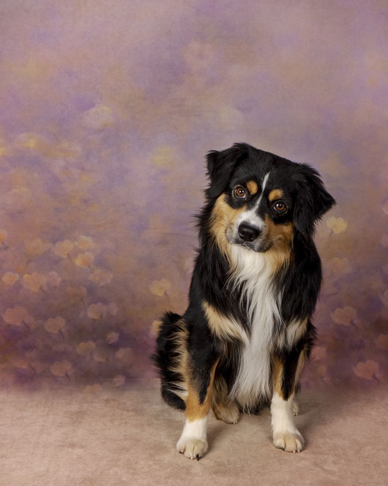 Kate Fine Art Portrait Backdrop Flower Designed by GQ - Kate Backdrop AU