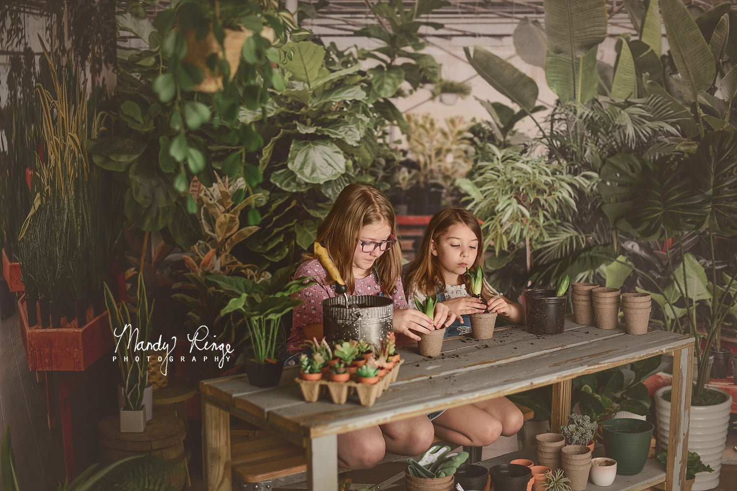 Kate Tropical Greenhouse Interior Summer Plants Room Set Designed by Mandy Ringe Photography(8ftx8ft&10ftx8ft&8ftx10ft) - Kate Backdrop AU
