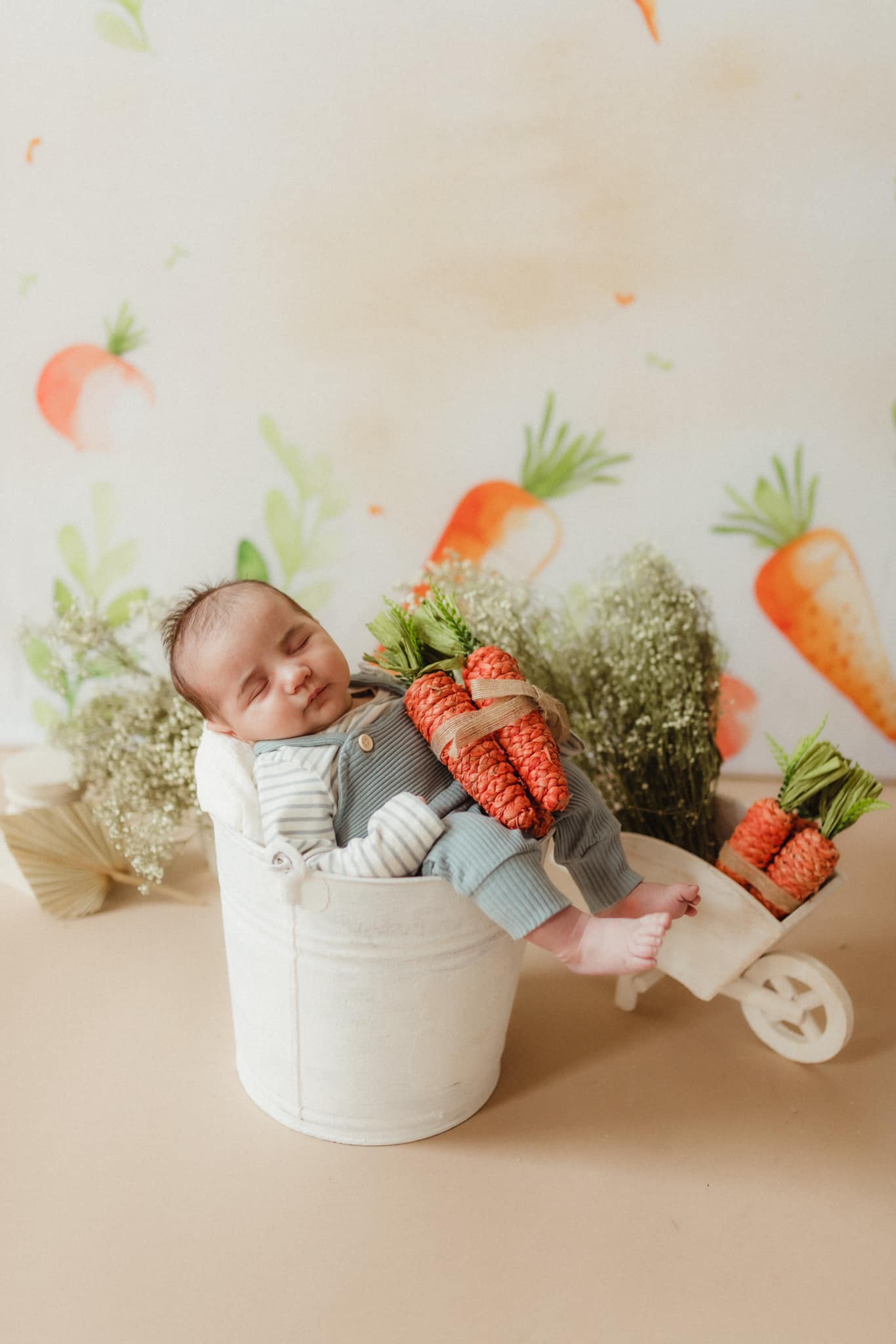 Kate Carrot Patch Backdrop Designed by Patty Robertss - Kate Backdrop AU