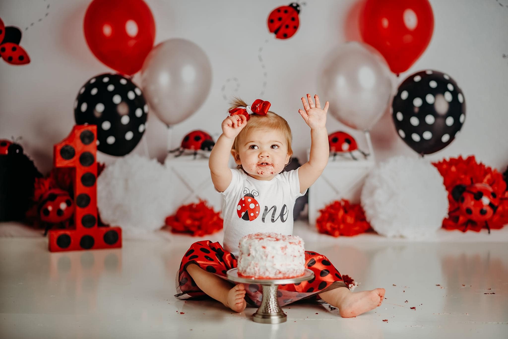 Kate Little Lady Bug Birthday Children Backdrop Designed By Mandy Ringe Photography - Kate Backdrop AU