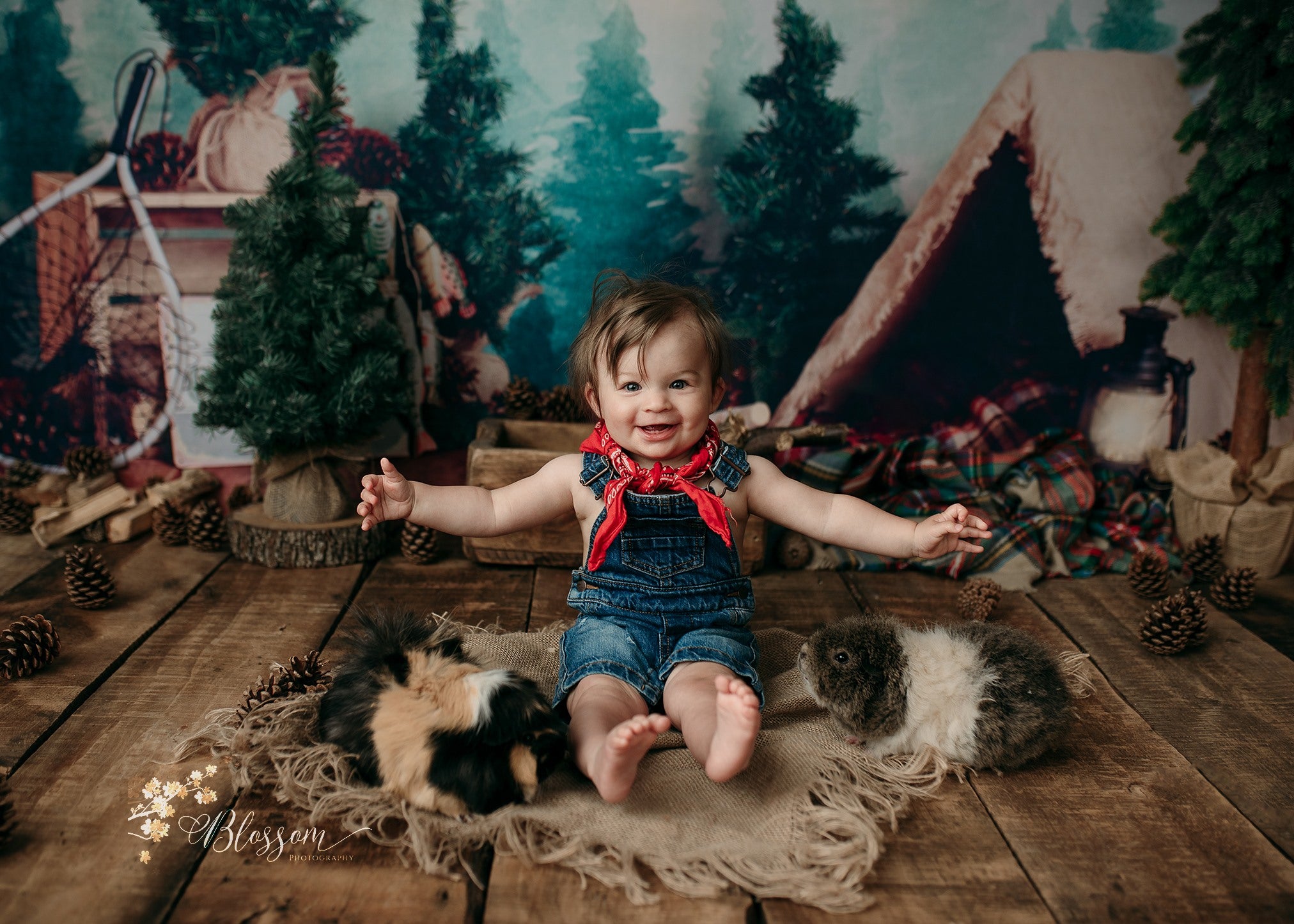 Kate Forest Camping Children Summer Backdrop for Photography Designed by Megan Leigh Photography