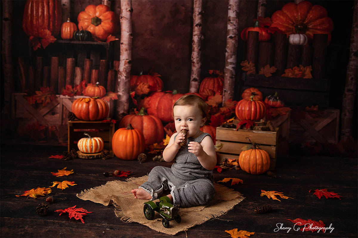 Kate Autumn/Thanksgiving Pumpkins Backdrop Designed by Jia Chan Photography - Kate Backdrop AU