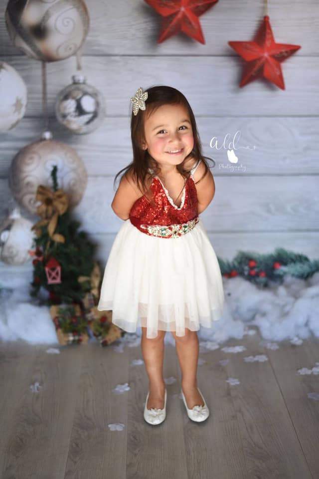 Kate Gray Wood Christmas Decor Backdrop - Kate Backdrop AU