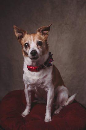 Kate Fine Art Sand Storm Abstract Backdrop for Photography Designed by Veronika Gant - Kate Backdrop AU