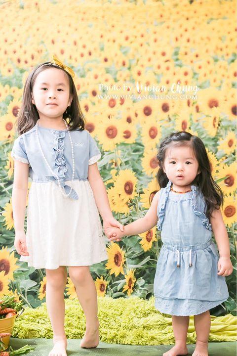 Kate Sunflower Field Backdrop for Summer Photography - Kate Backdrop AU