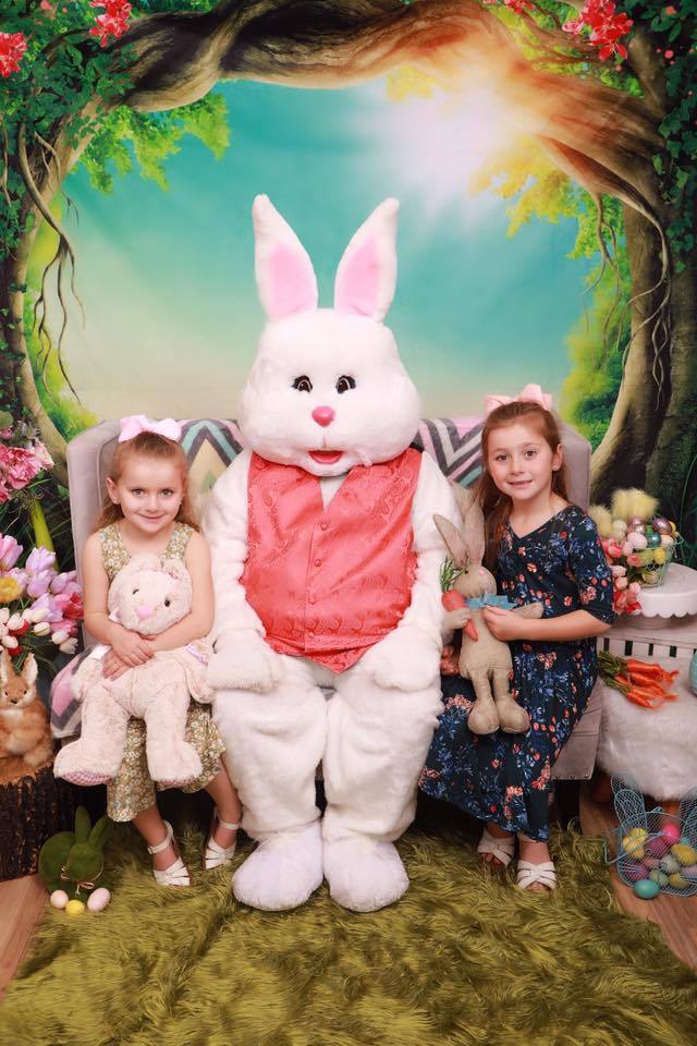 Kate Fantastic Backdrop Scenery Forest Circle Tree - Kate Backdrop AU