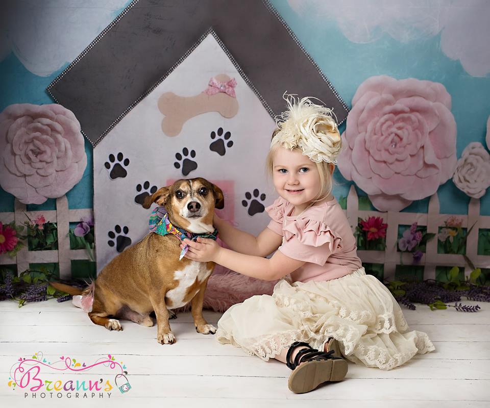 Kate Pet Park Railing with flowers Spring Children Backdrop for Photography Designed by Erin Larkins - Kate Backdrop AU