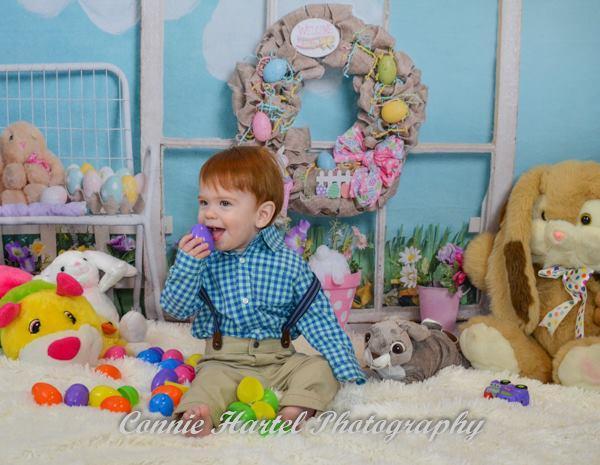 Kate Rabbits Decorations Easter Spring Children Backdrop for Photography Designed by Erin Larkins - Kate Backdrop AU