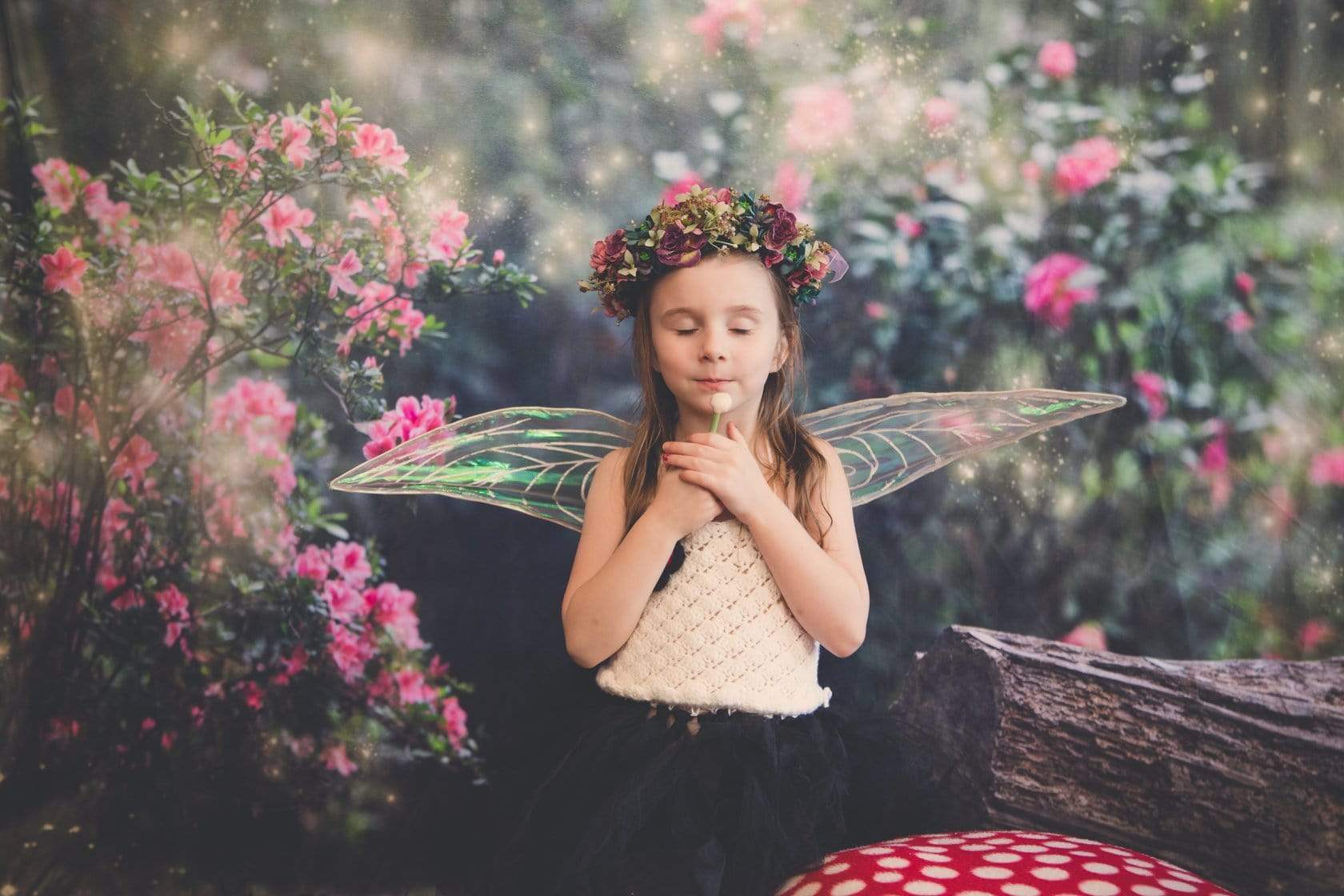 Kate Garden with log bench fairy lights spring Backdrop for Photography Designed by Pine Park Collection - Kate Backdrop AU