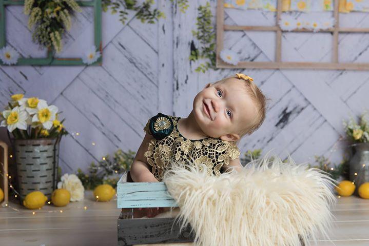 Kate Retro Wood Lemon color and Daisies Spring Backdrop - Kate Backdrop AU