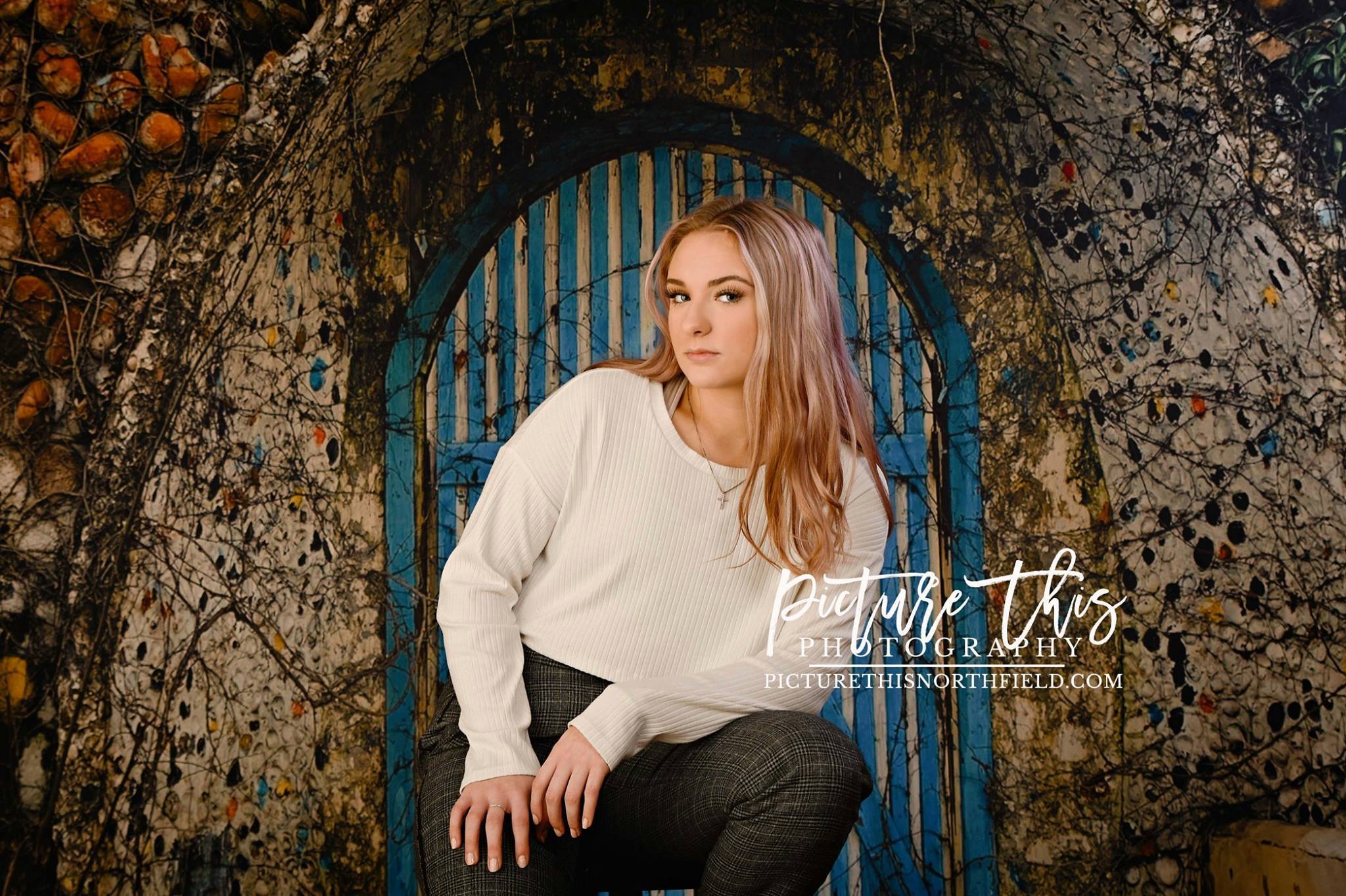 Kate Cool Blue Barn Door Backdrop designed by Jerry_Sina - Kate Backdrop AU