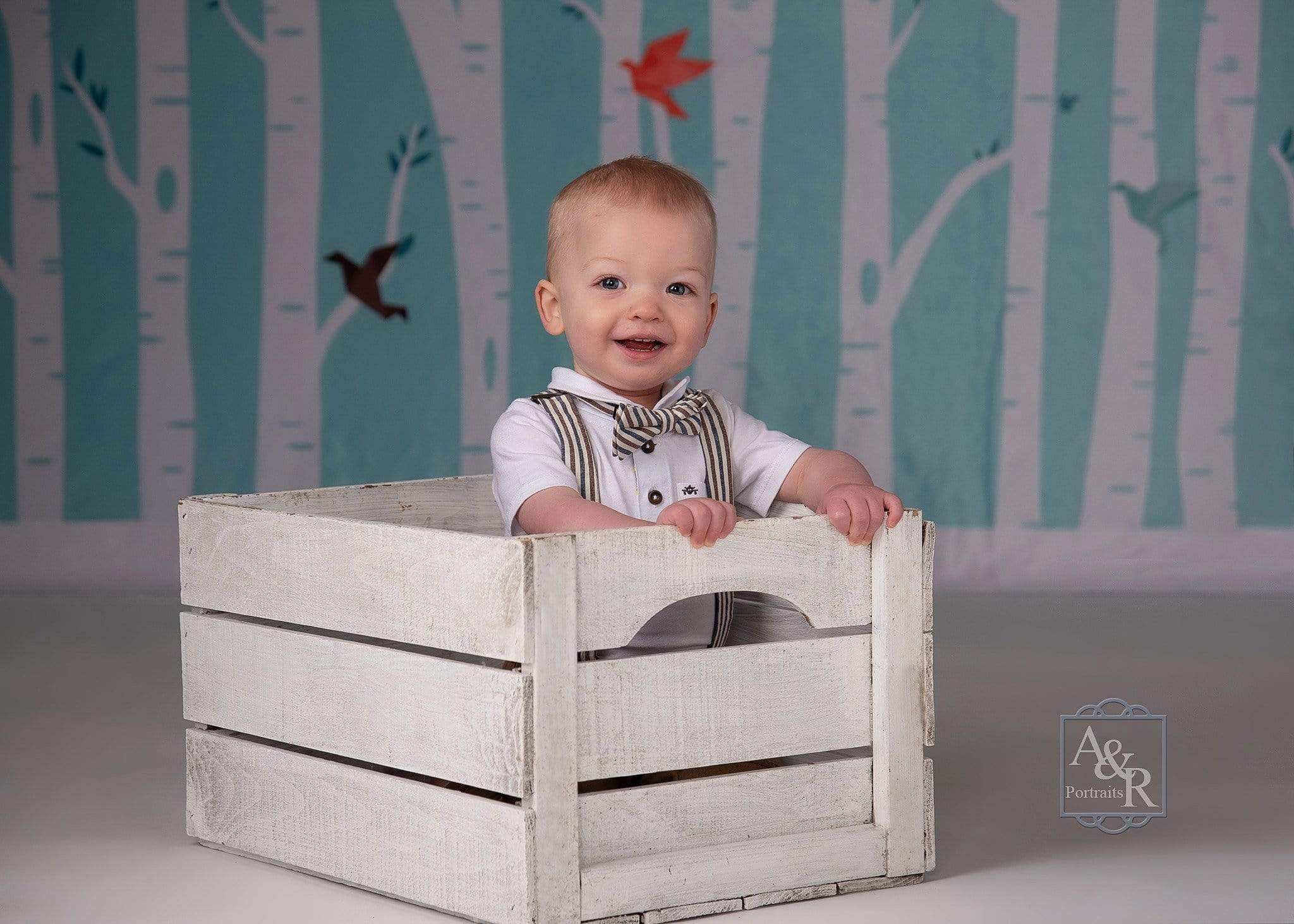 Kate Origami Birds in Birch Forest Backdrop for Photography Designed by Amanda Moffatt - Kate Backdrop AU