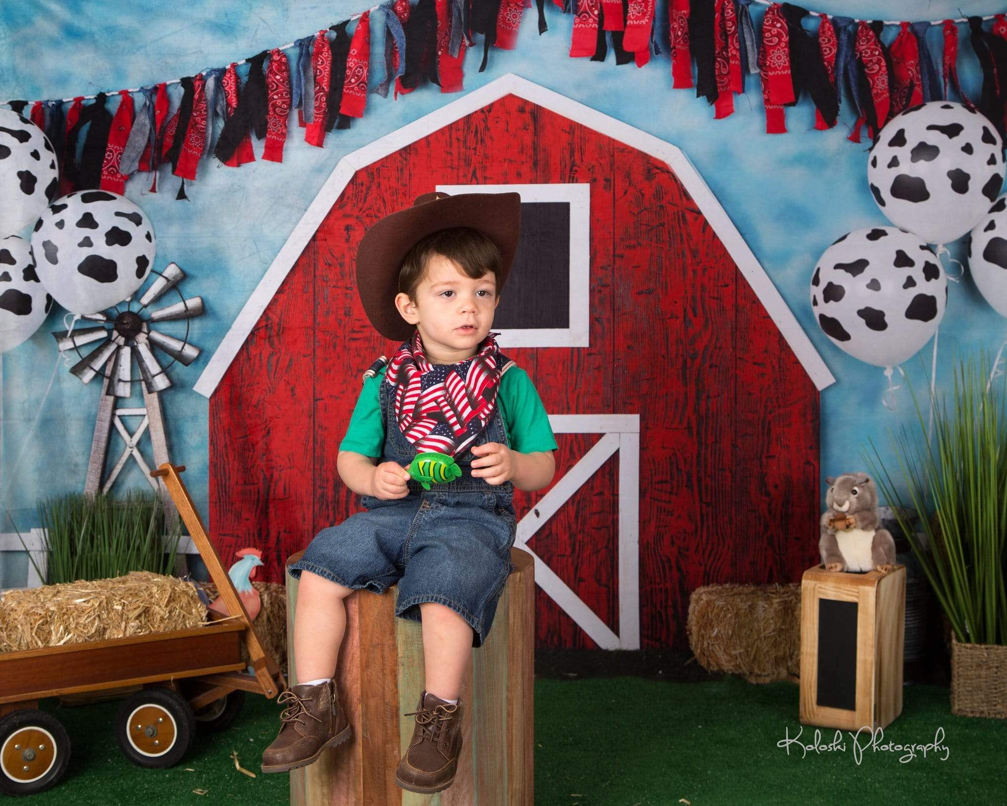 Kate Barnyard Fun Balloons Children Backdrops Designed by Arica Kirby - Kate Backdrop AU