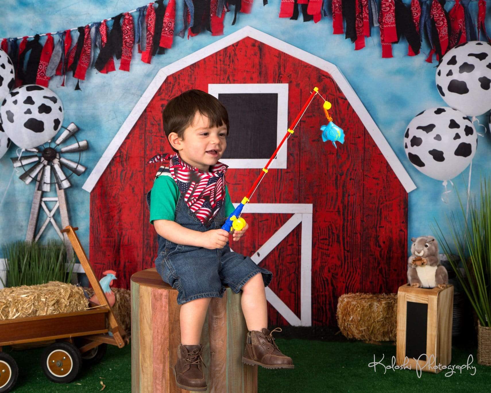 Kate Barnyard Fun Balloons Children Backdrops Designed by Arica Kirby - Kate Backdrop AU