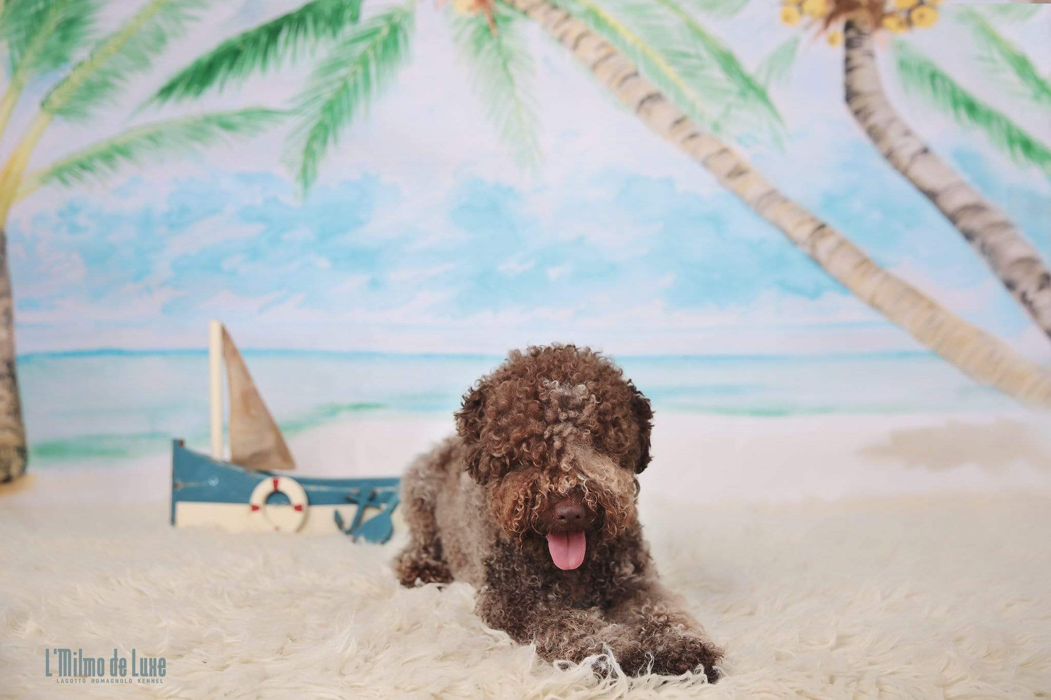 Kate Summer Beach Backdrop designed by Veronika Gant - Kate Backdrop AU