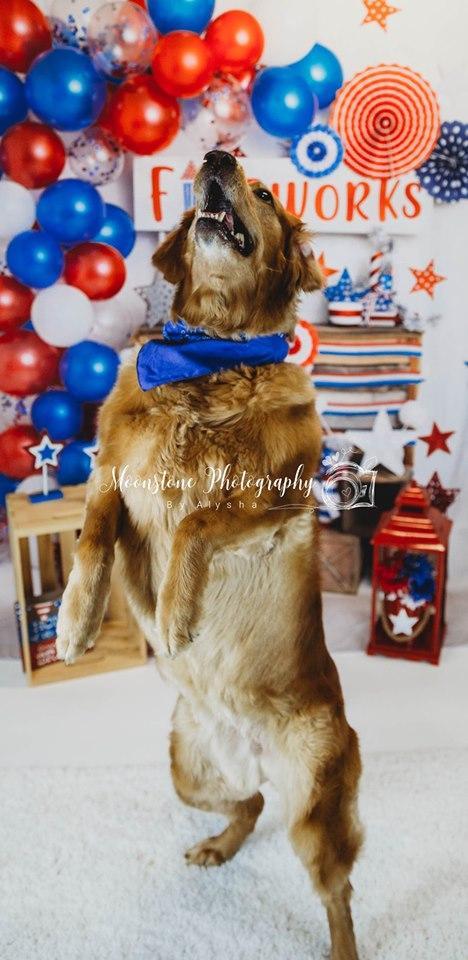 Kate 4th of July Fireworks Balloon Children Backdrop Designed by Lisa B - Kate Backdrop AU