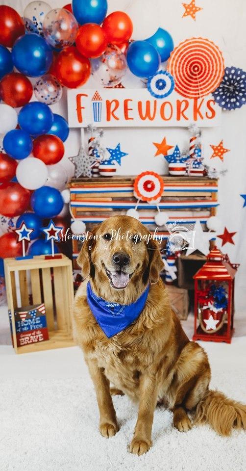 Kate 4th of July Fireworks Balloon Children Backdrop Designed by Lisa B - Kate Backdrop AU