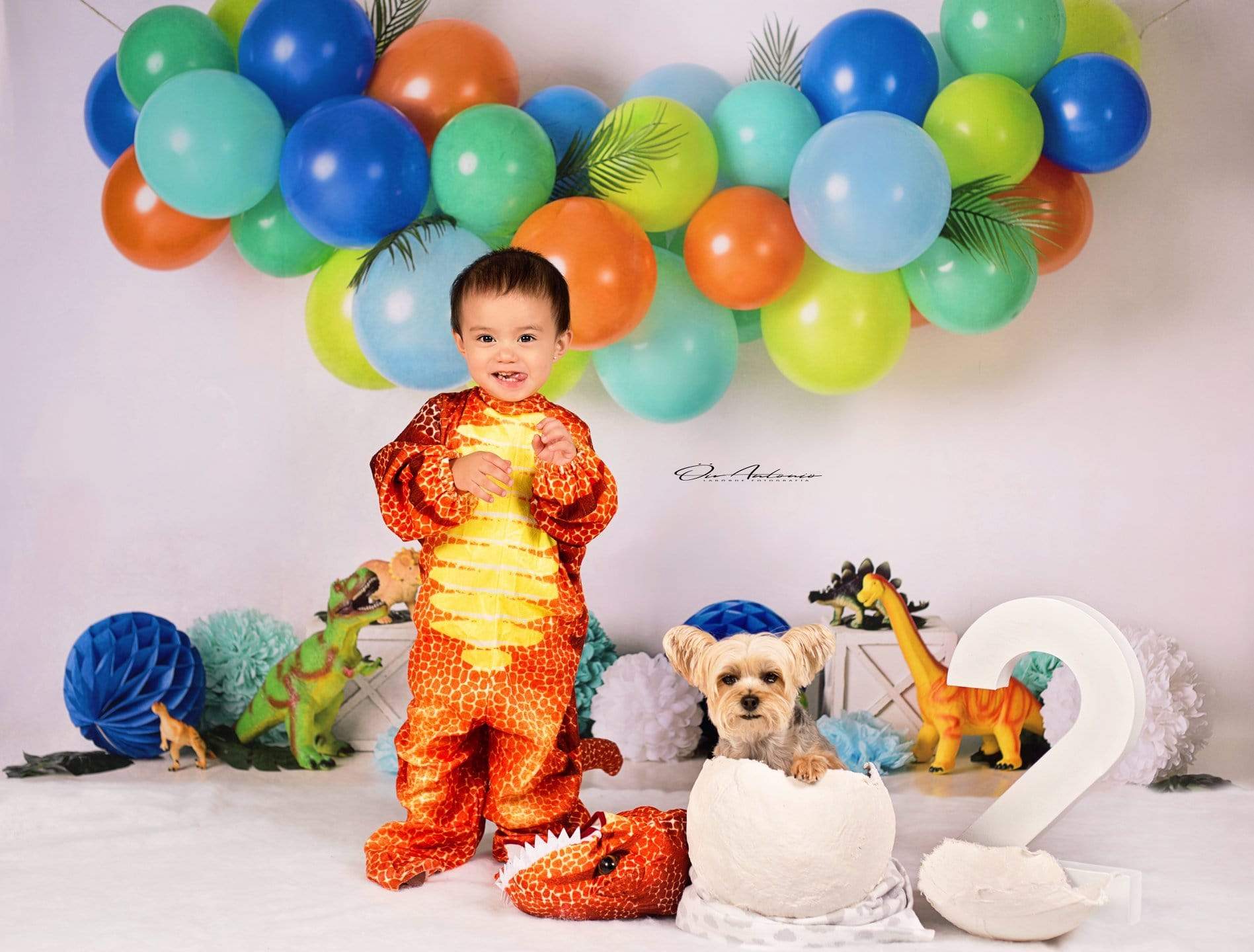 Kate Dinosaur Birthday with Balloons Backdrop for Photography Designed By Mandy Ringe Photography - Kate Backdrop AU