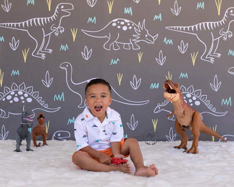 Kate Dinosaur Park Children Backdrop for Photography Designed by Amanda Moffatt - Kate Backdrop AU