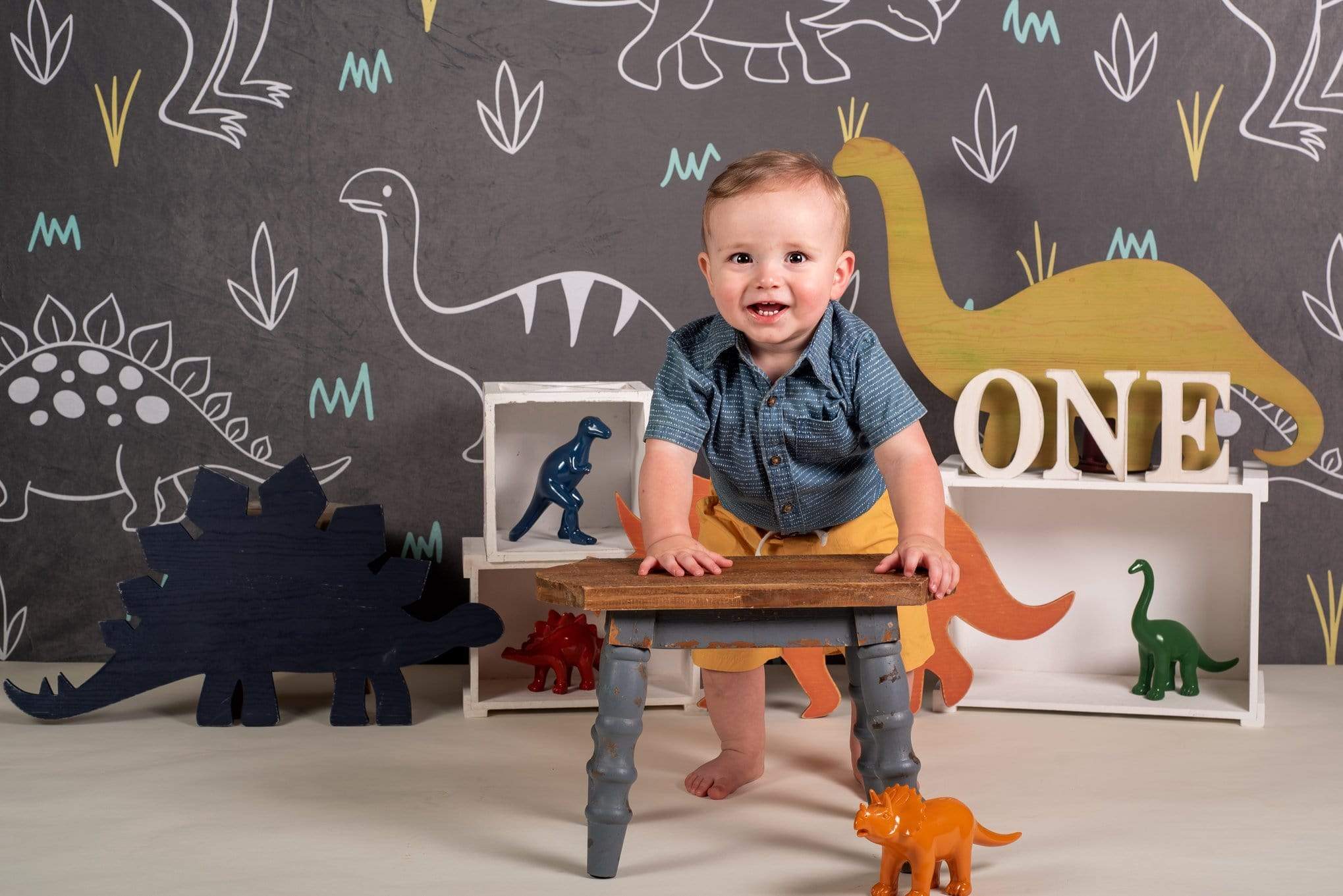 Kate Dinosaur Park Children Backdrop for Photography Designed by Amanda Moffatt - Kate Backdrop AU