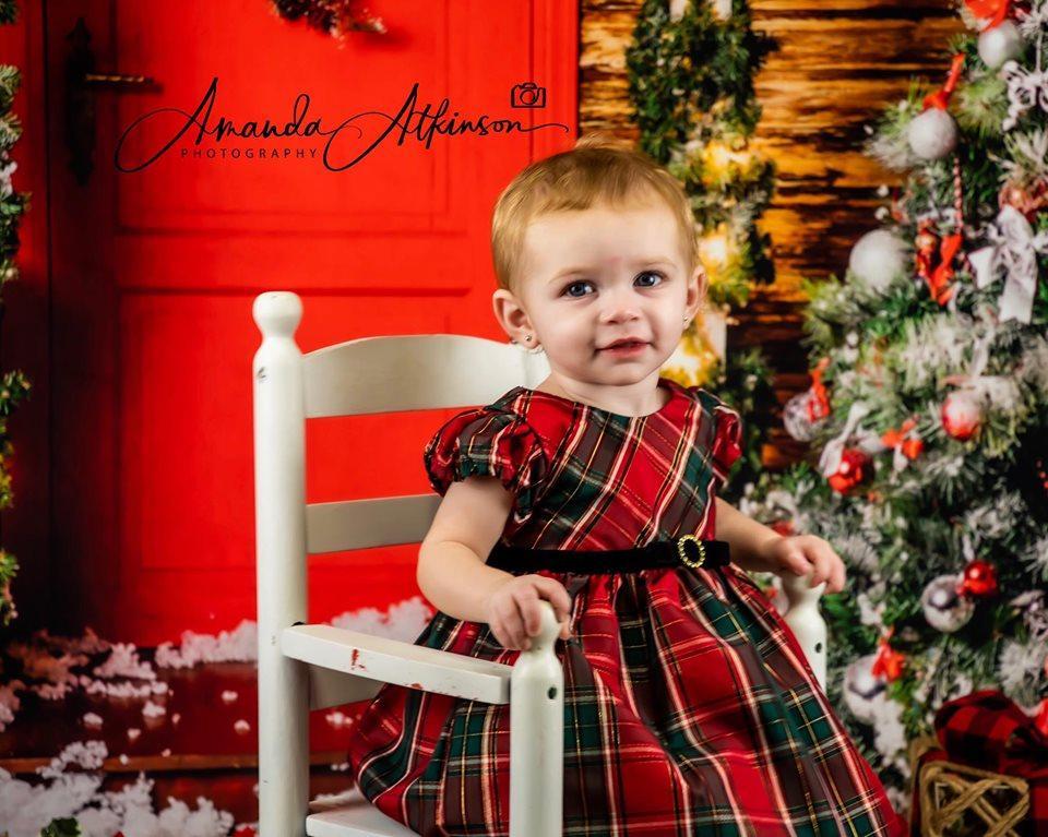 Kate Christmas Trees Red Door Backdrops for Photography - Kate Backdrop AU