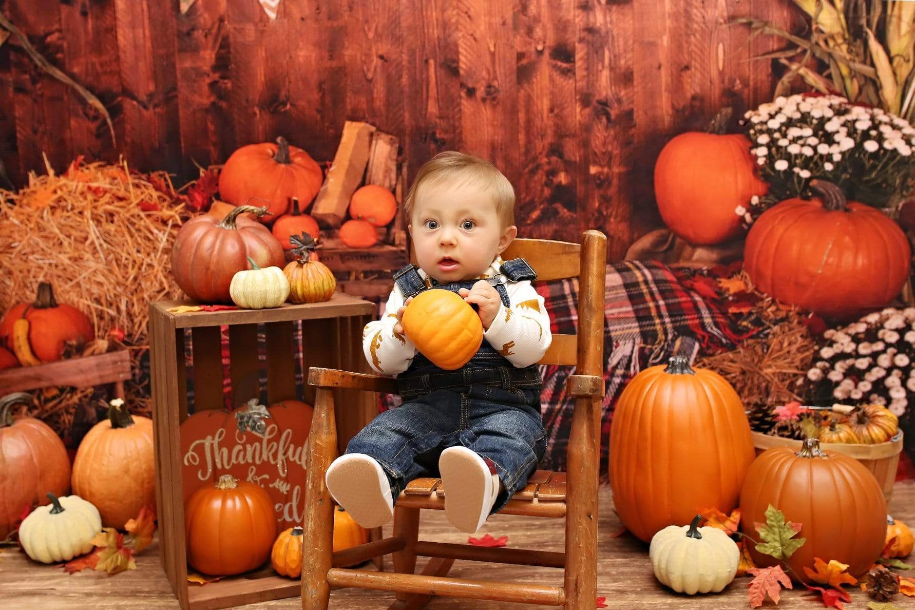 Kate Fall Pumpkin Straw Wood Daisy for Pictures - Kate Backdrop AU