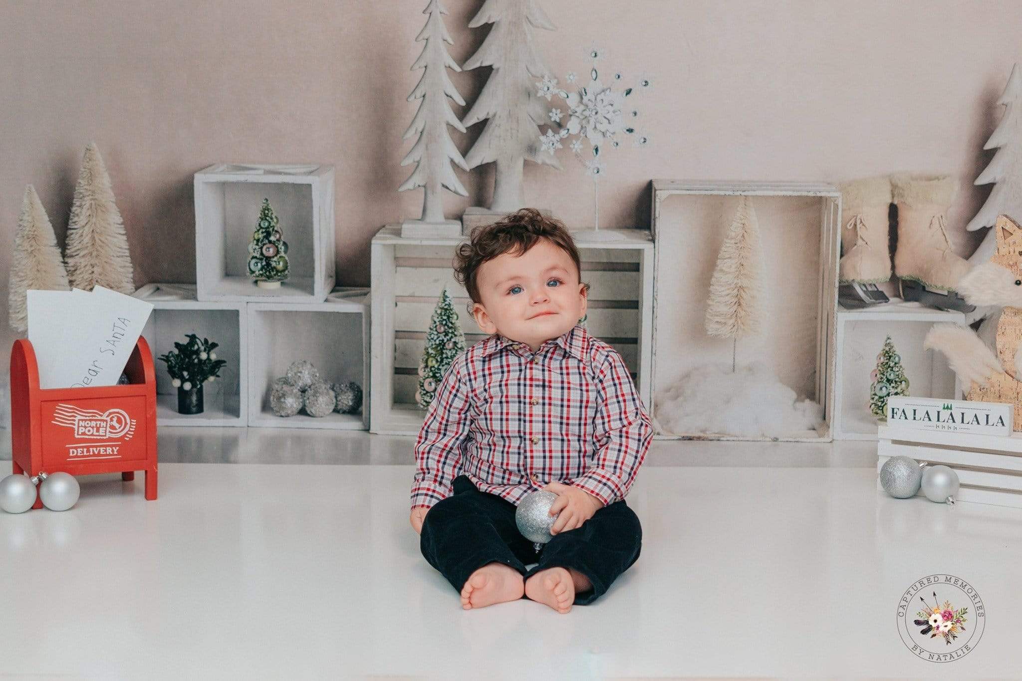 Kate Elegant Christmas Winter Display Backdrop for Photography Designed By Mandy Ringe Photography - Kate Backdrop AU