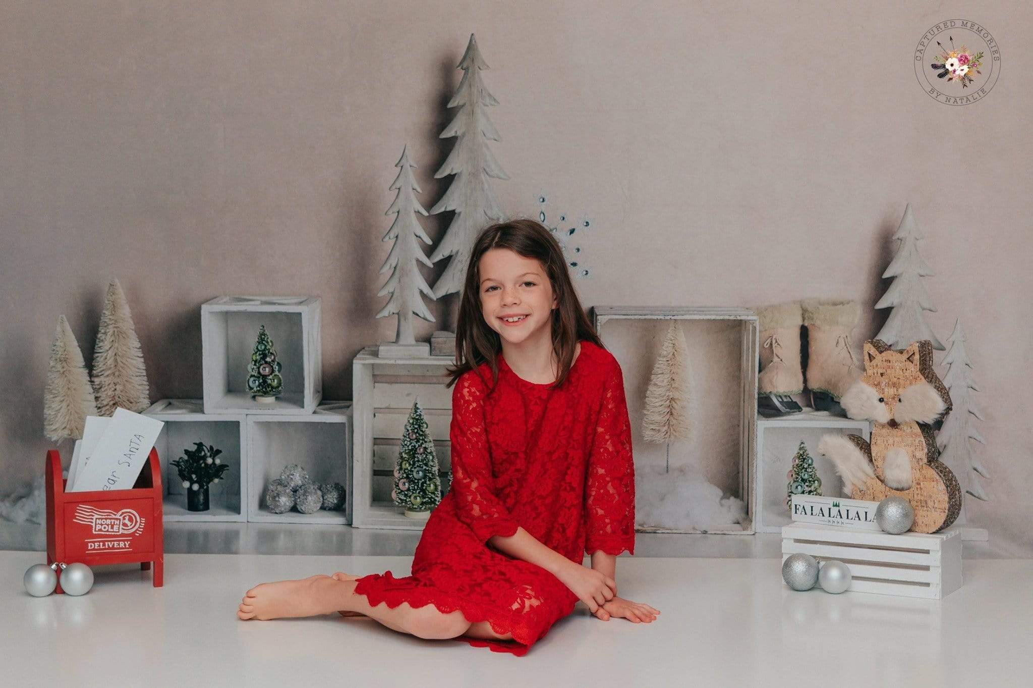 Kate Elegant Christmas Winter Display Backdrop for Photography Designed By Mandy Ringe Photography - Kate Backdrop AU